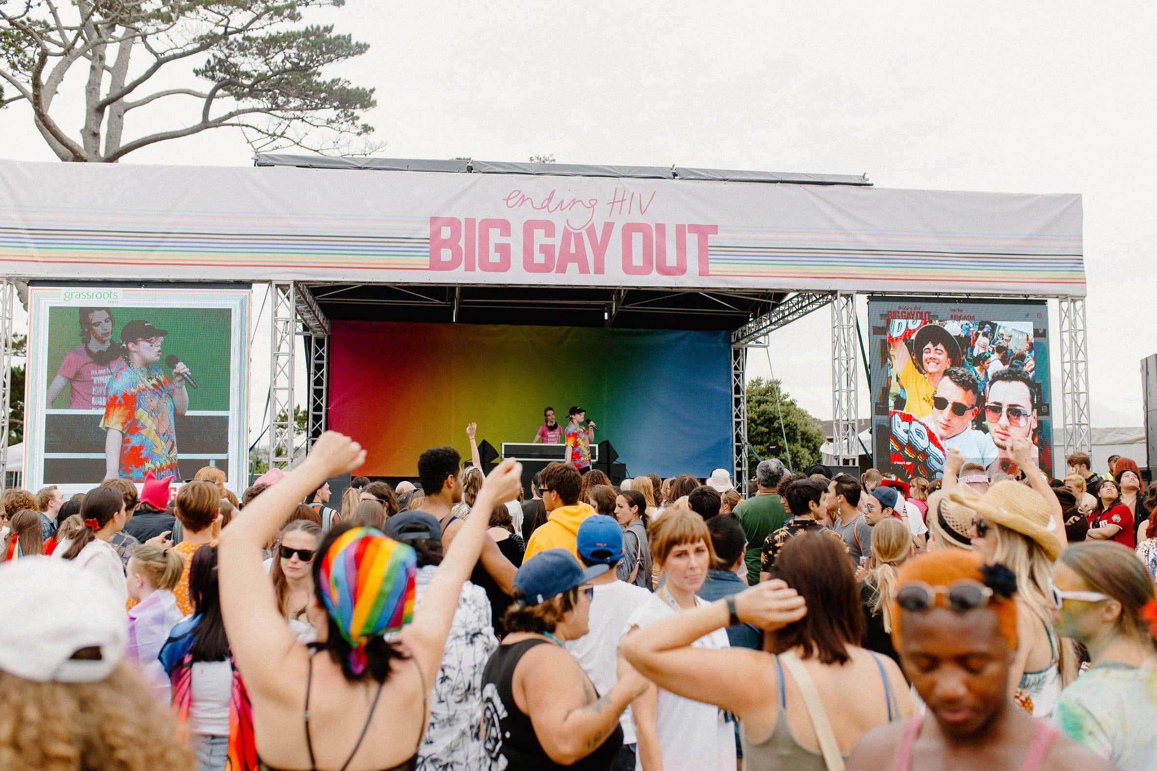 一群人在節慶中，手持寫著「Big Gay Out」的標語 壁紙