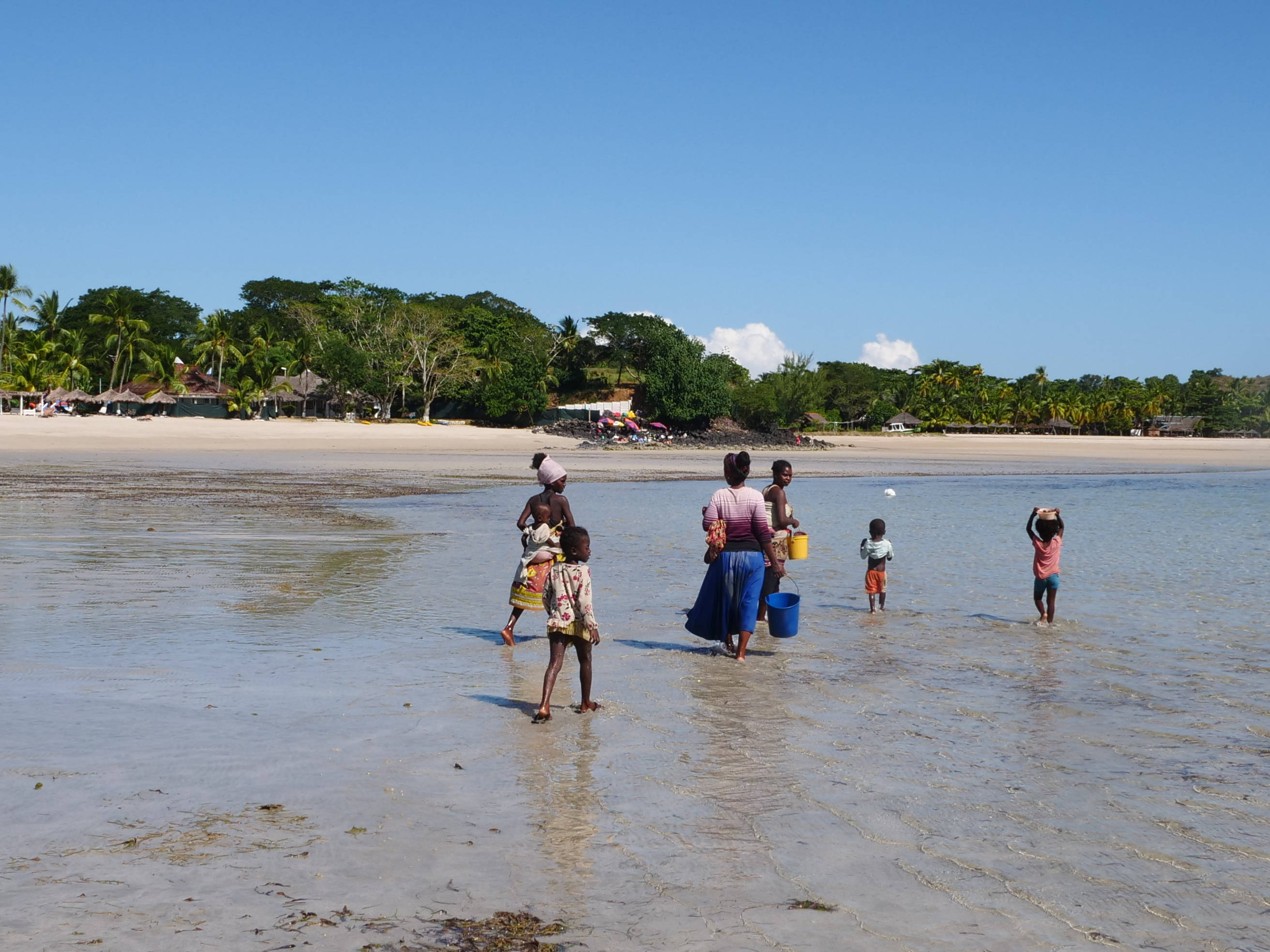 Madagascar 桌布 壁紙 — 一群人在陽光明媚的海灘上涉水穿過淺海，背景有棕櫚樹和小屋。