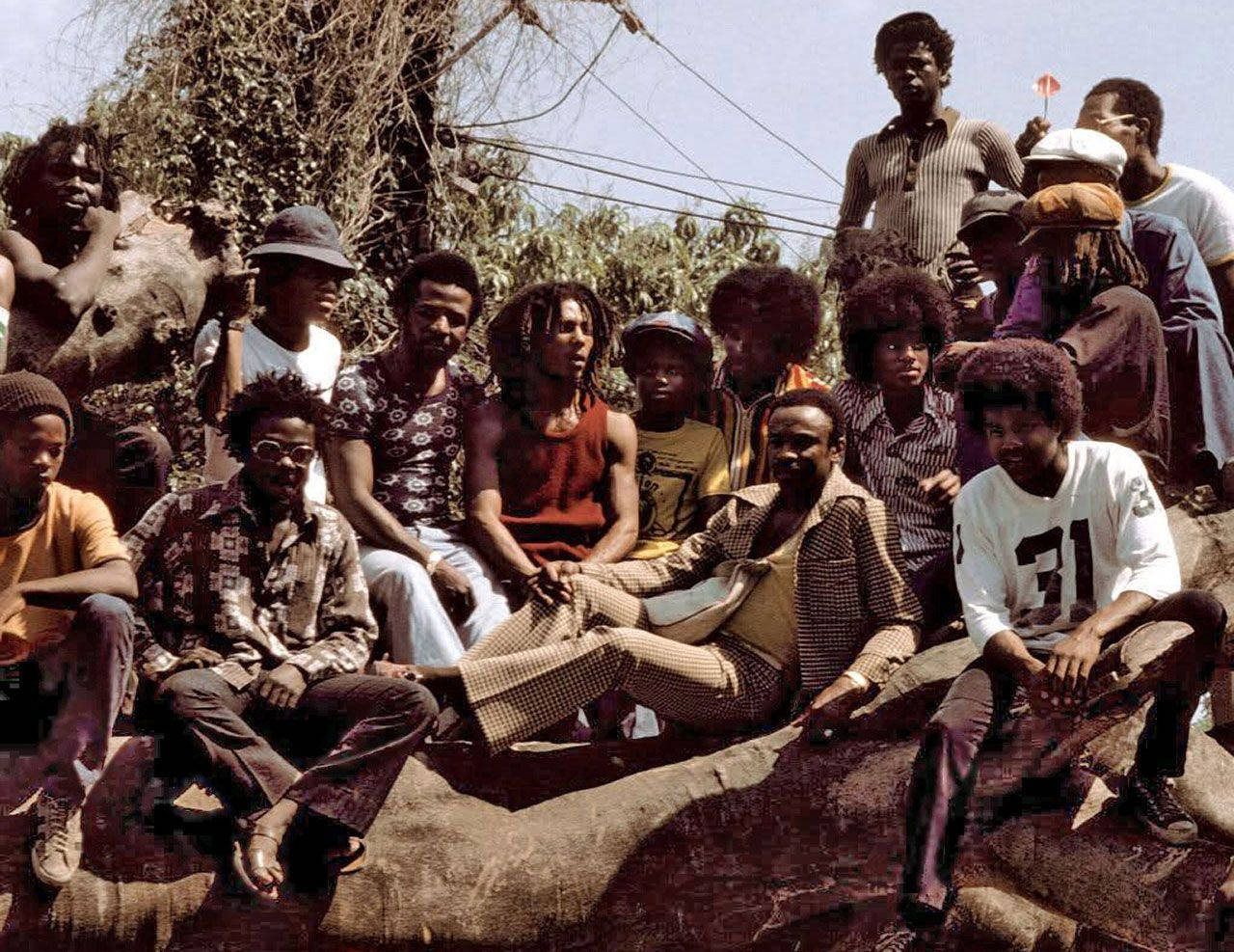 Bob Marley 桌布 壁紙 — 一群充滿活力、擁有非洲式髮型並穿著色彩繽紛70年代服裝的人，在明亮的日光下坐在和站在一根大木頭上。