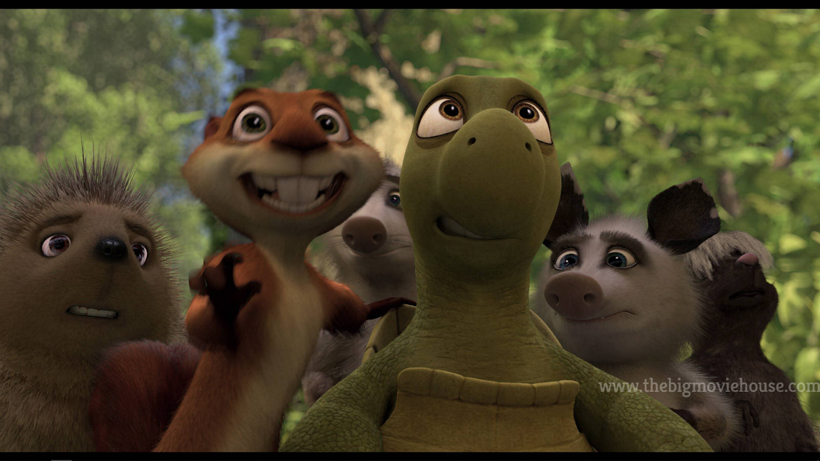 Over The Hedge 桌布 壁紙 — 一群動畫森林動物，包括一隻烏龜和一隻花栗鼠，在陽光明媚的樹林中顯得驚訝和興奮。