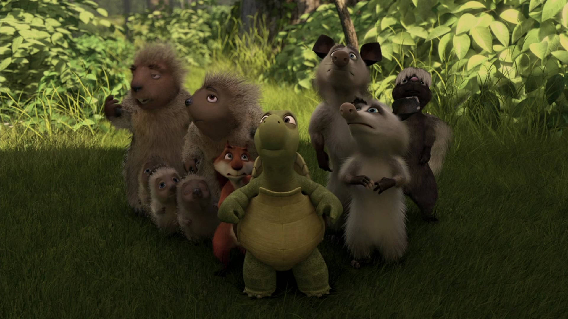 Over The Hedge 桌布 壁紙 — 一群動畫森林動物，包括一隻烏龜和豪豬，聚集在陽光明媚的草地上，周圍環繞著茂密的綠色樹葉。
