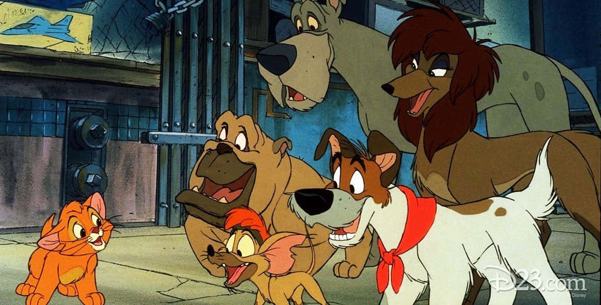 oliver and company 桌布 壁紙 — 一群動畫狗和一隻貓聚集在一個光線昏暗的小巷裡，有鐵絲網圍欄和塗鴉。