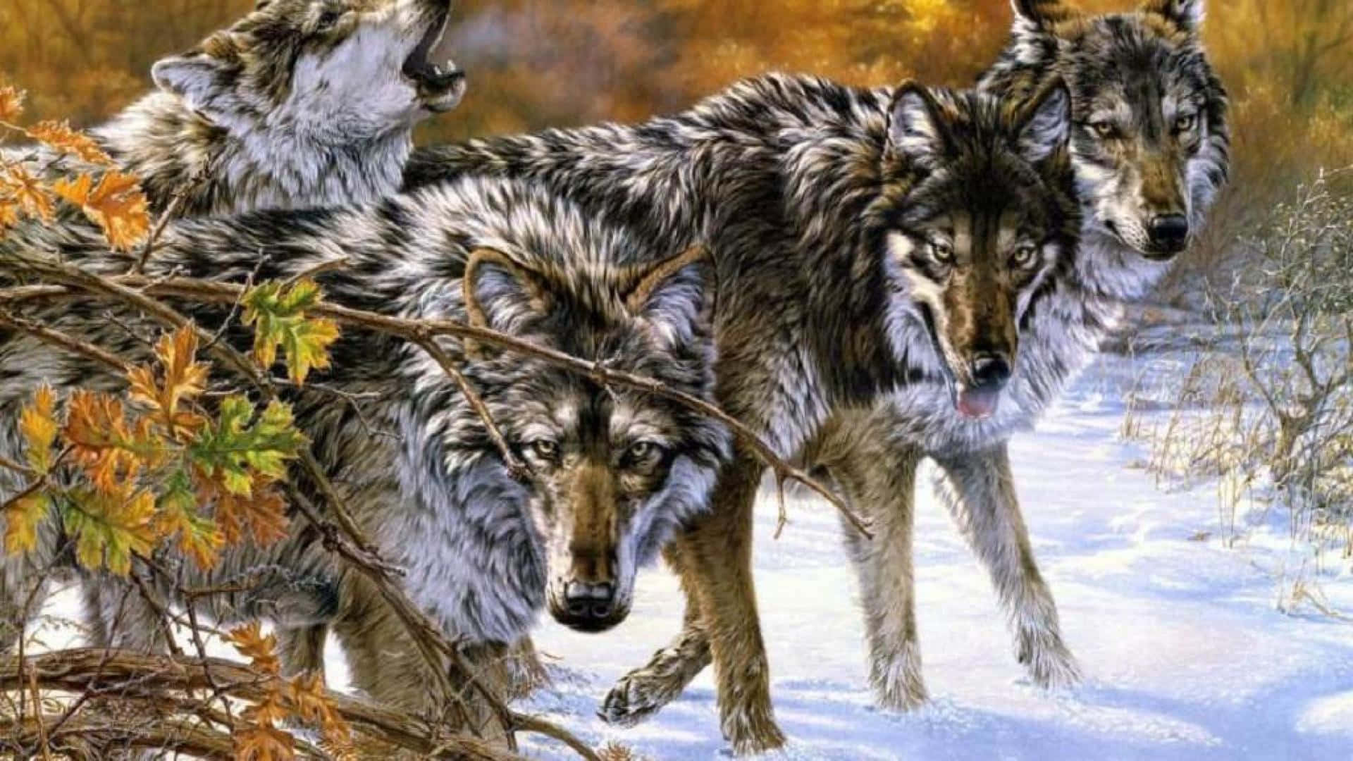Wolf Pack 桌布 壁紙 — 一群厚灰色毛皮的狼在雪地森林中警覺地站立，周圍有秋葉和光禿的樹枝。