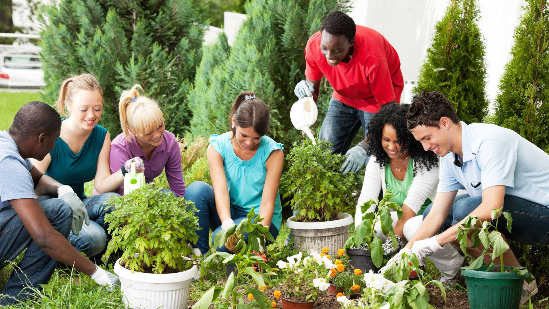 Gardening 桌布 壁紙 — 一群多元背景、面帶微笑的人們在陽光明媚的後院裡合作園藝，種植盆栽植物和花卉。