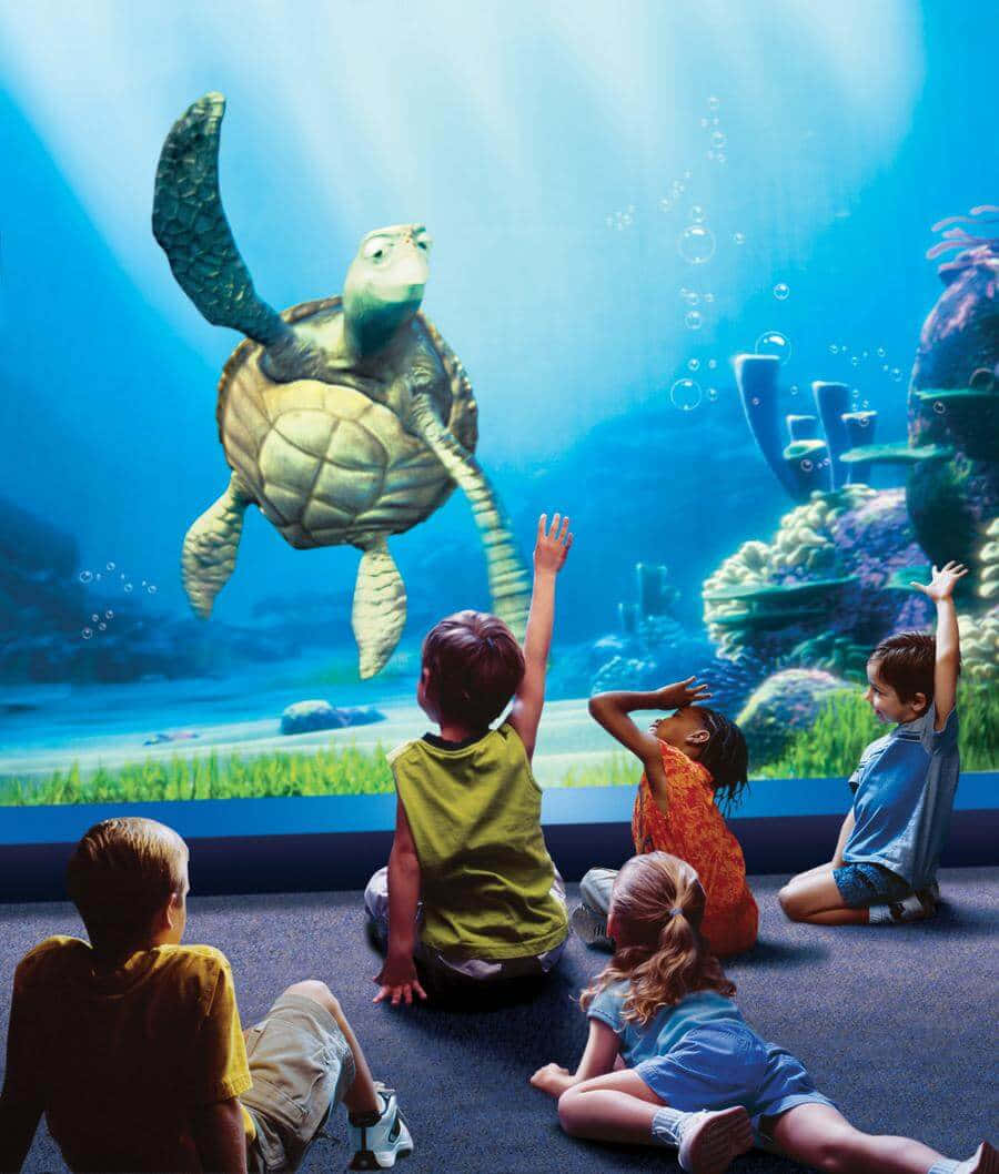 一群孩子在水族馆里观看乌龟 壁紙