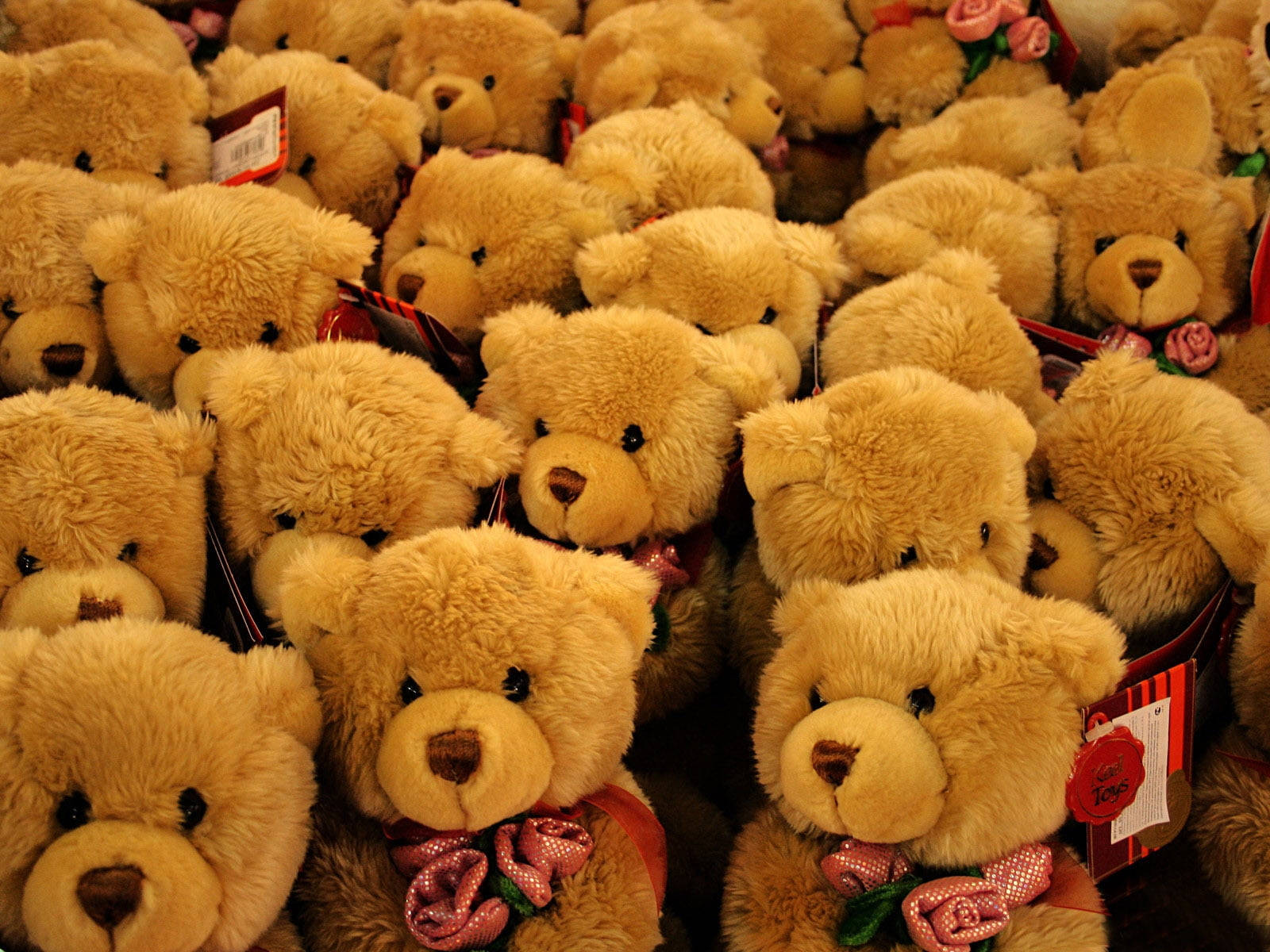 Cute Brown Bear 桌布 壁紙 — 一群密集、相同的金啡色泰迪熊，帶有粉紅色玫瑰蝴蝶結和紅色標籤，填滿了畫面。