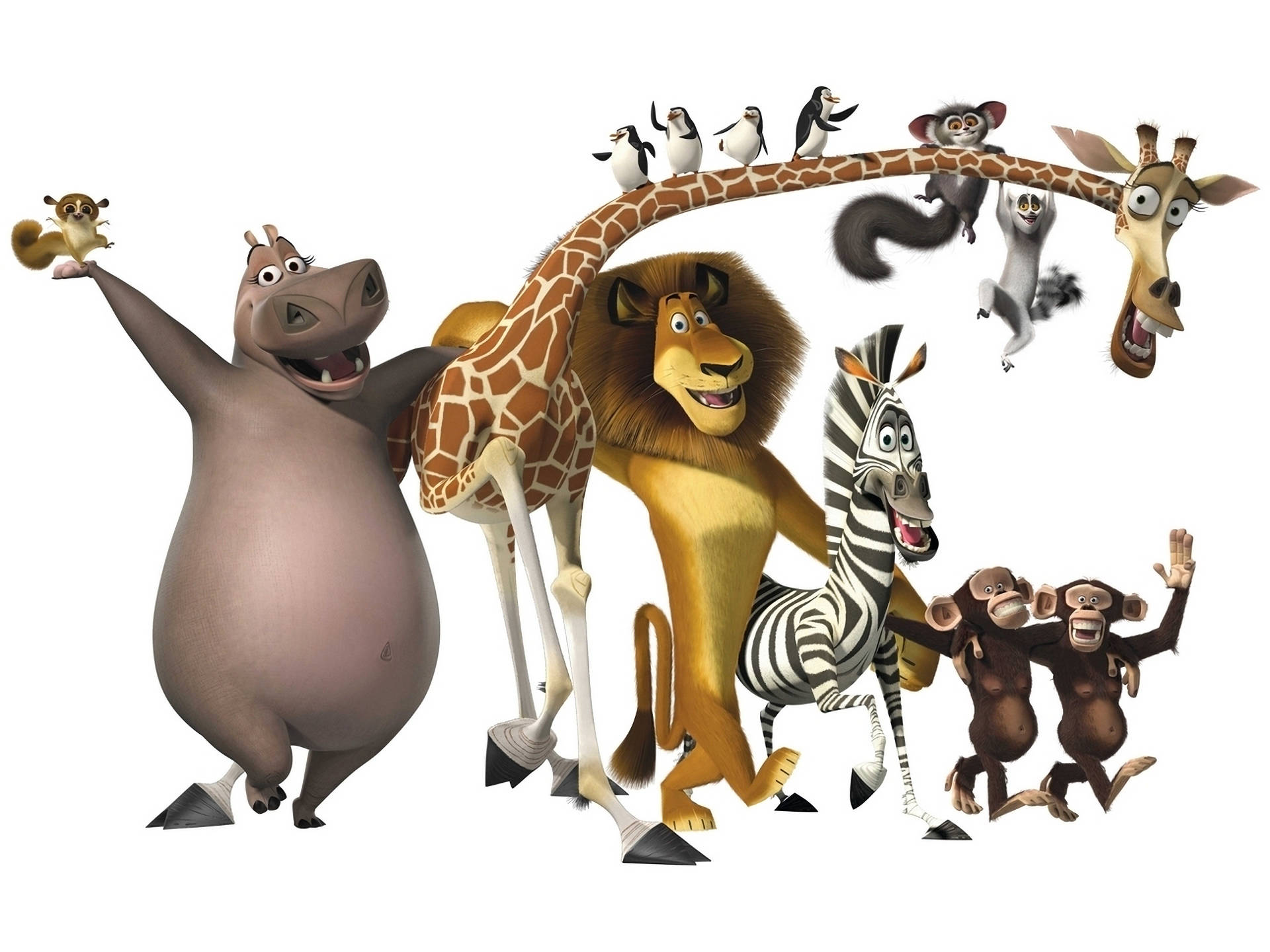 Madagascar 桌布 壁紙 — 一群快樂的動畫動物，包括河馬、獅子、斑馬和長頸鹿，在純白色背景前愉快地擺姿勢。