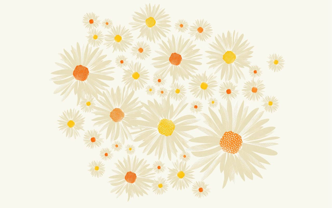 Daisy 桌布 壁紙 — 一群歡快的風格化雛菊，帶有奶油色花瓣和橙黃色花心，漂浮在柔和的米白色背景上。