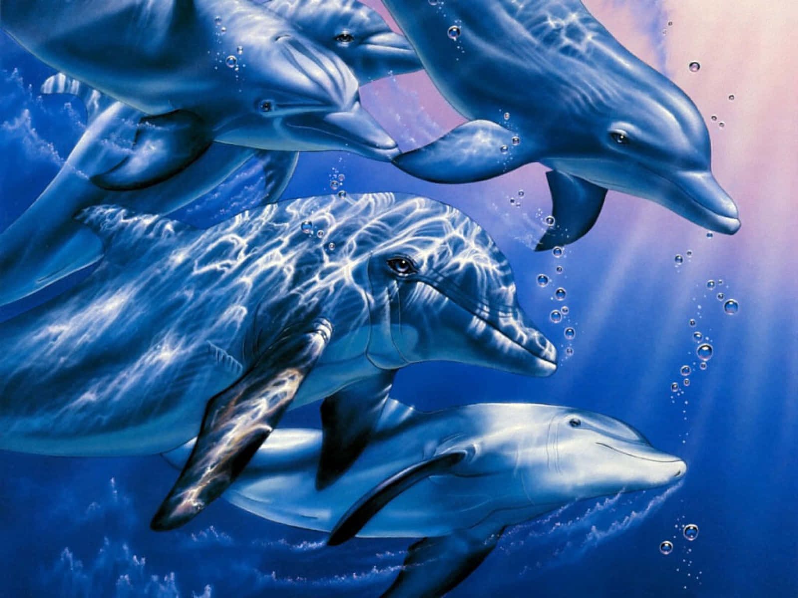 dolphins 桌布 壁紙 — 一群海豚優雅地在陽光普照的藍色海洋中游動，閃爍的光影在她們流線型的身體上舞動。