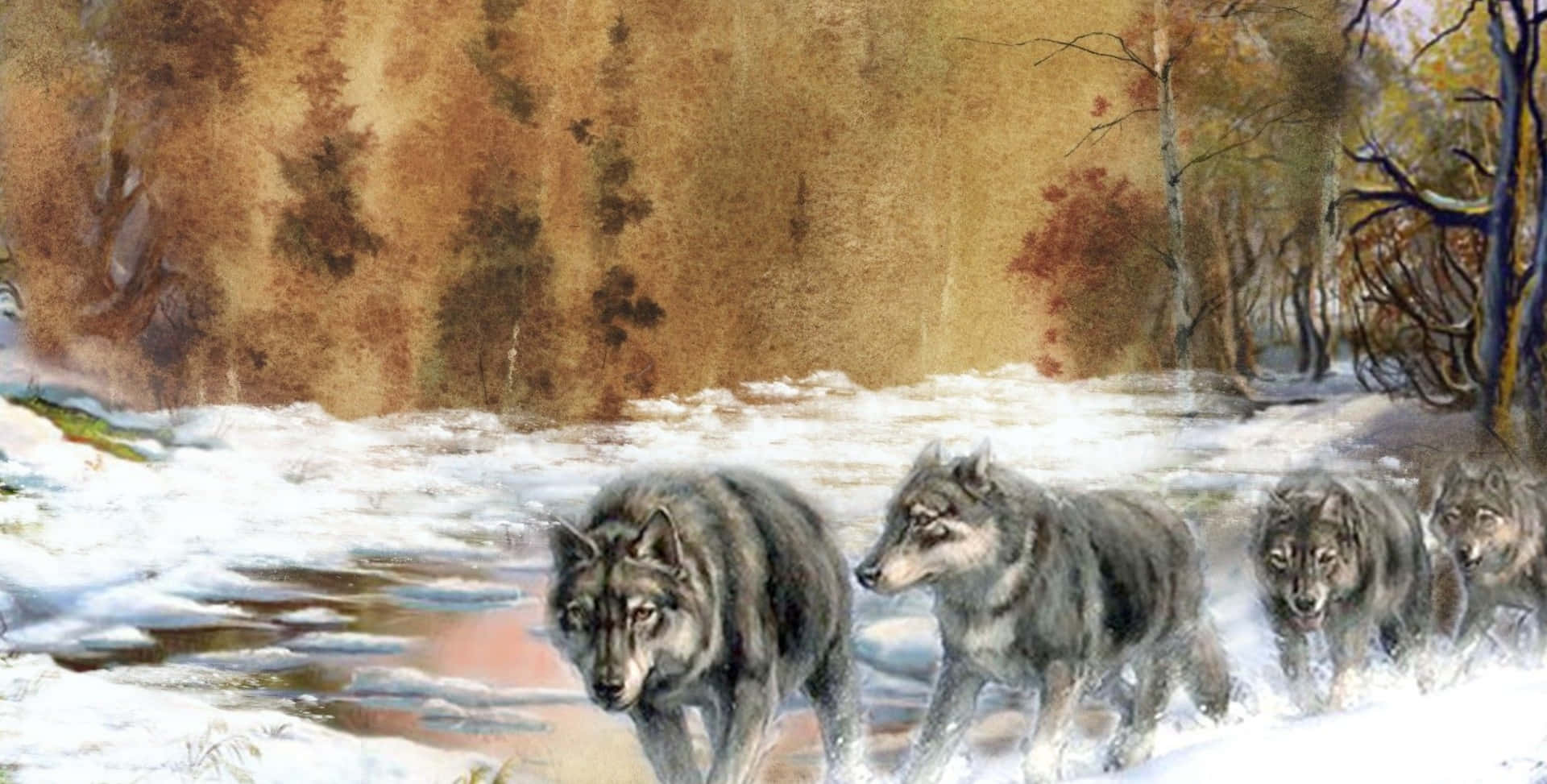 Wolf Pack 桌布 壁紙 — 一群狼在雪地中沿著結冰的小溪旁，在柔和的秋日森林樹冠下大步前行。