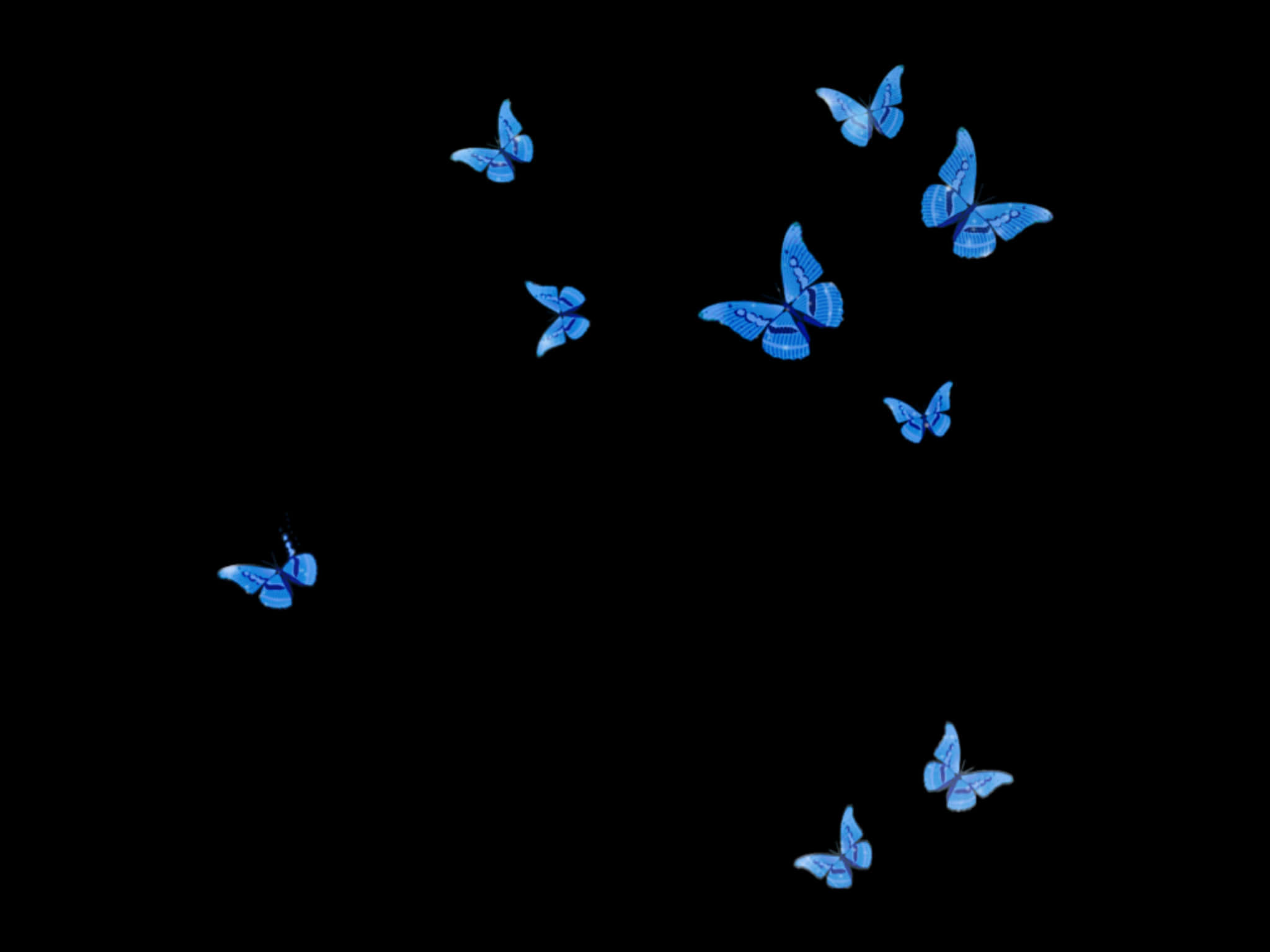 Butterflies Laptop 桌布 壁紙 — 一群發光的藍色蝴蝶在深邃的黑色虛空中飄浮，翅膀上帶有精細複雜的圖案。