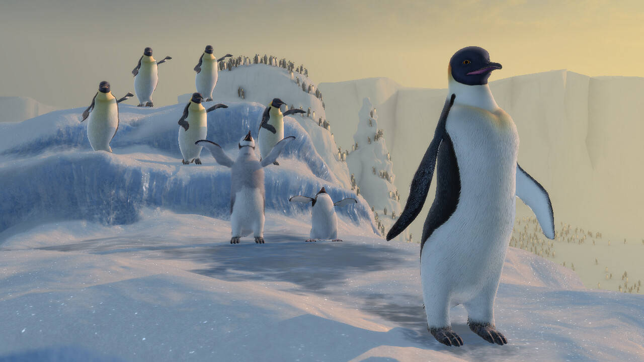 Arctic 桌布 壁紙 — 一群皇帝企鵝站在積雪懸崖上，背景是溫暖的金色日落天空。