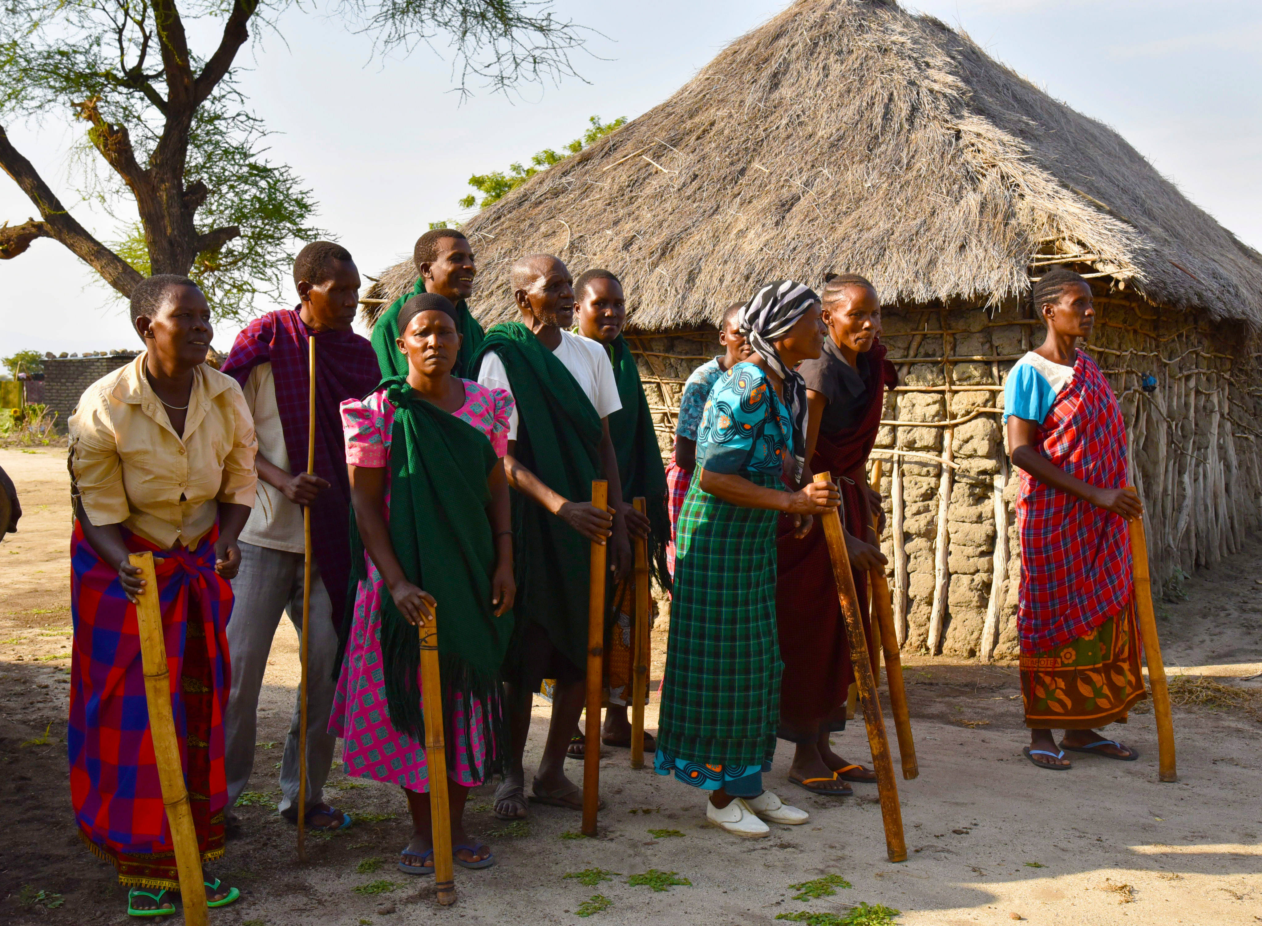 Tanzania 桌布 壁紙 — 一群穿著鮮豔傳統服飾的人，在明亮的日光下，手持木棍站在茅草屋前。