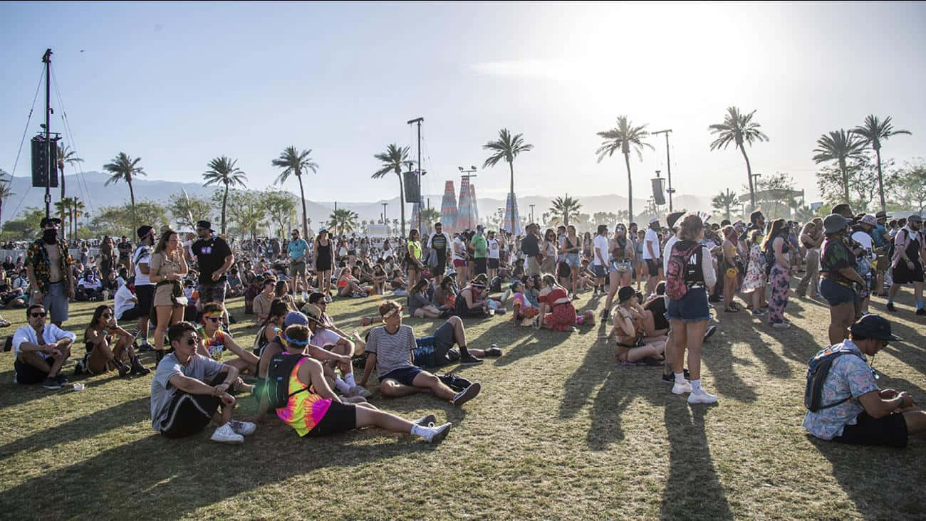 Coachella 桌布 壁紙 — 一群節日參加者在陽光普照下，於草地上放鬆，背景有棕櫚樹和山脈。