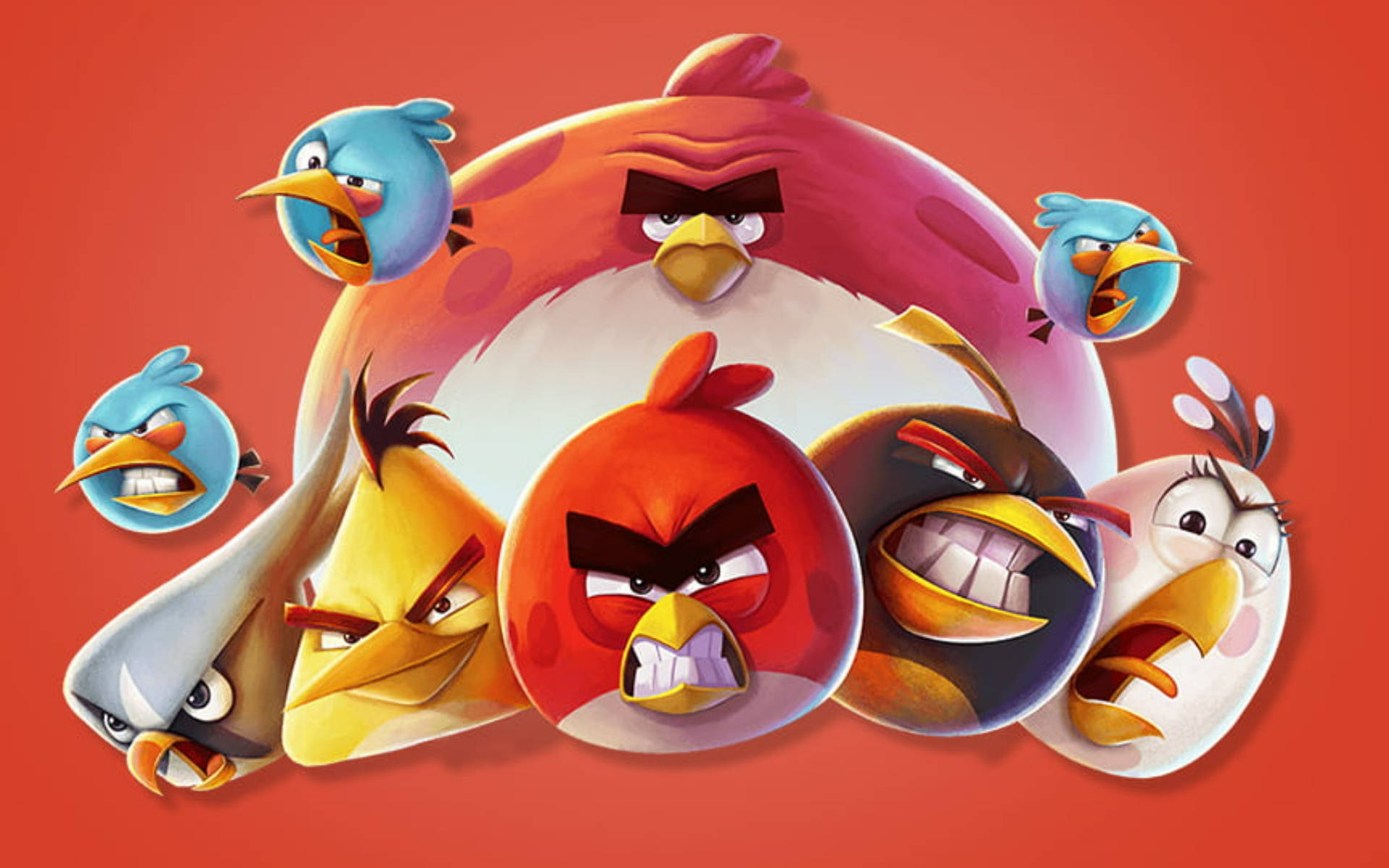  壁紙 — 一群色彩繽紛的Angry Birds角色，在純紅色背景上帶著憤怒的表情。