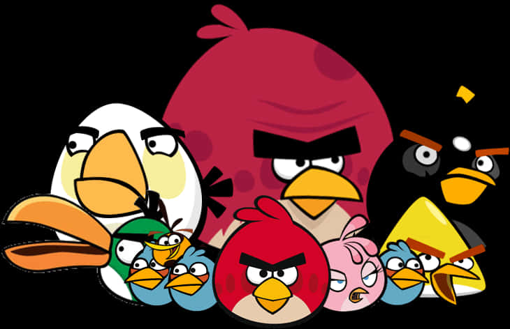 Angry Bird 桌布 壁紙 — 一群色彩繽紛的Angry Birds角色，在黑色背景上帶有憤怒的表情。