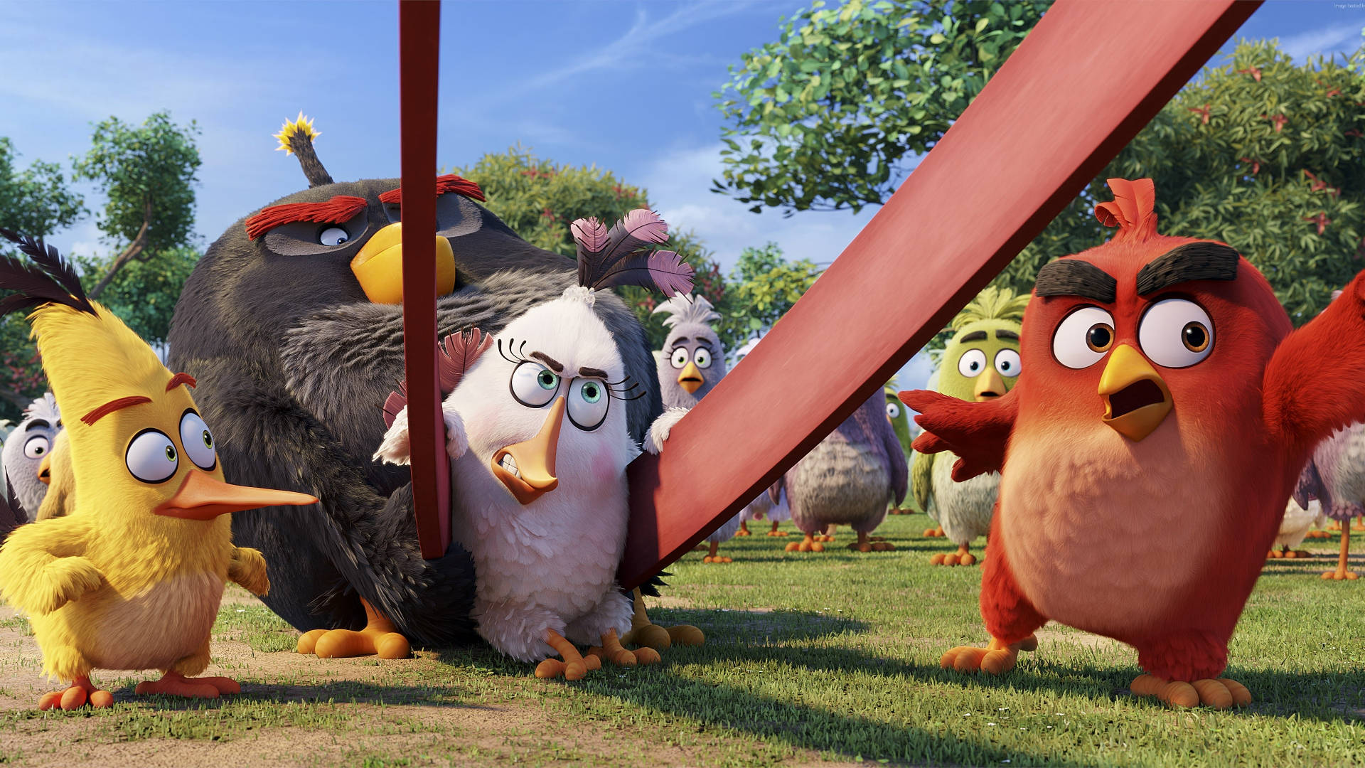 Cartoon Characters 桌布 壁紙 — 一群色彩繽紛的Angry Birds角色站在草地上，背景是明亮的藍天和樹木。