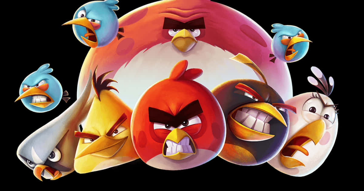 Angry Birds 桌布 壁紙 — 一群色彩繽紛的Angry Birds角色，在黑色背景上帶有憤怒的表情。