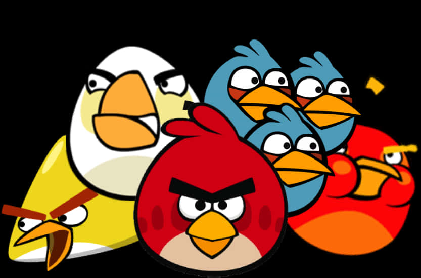 Flock Of Birds 桌布 壁紙 — 一群色彩繽紛的卡通鳥，表情憤怒，背景為黑色。