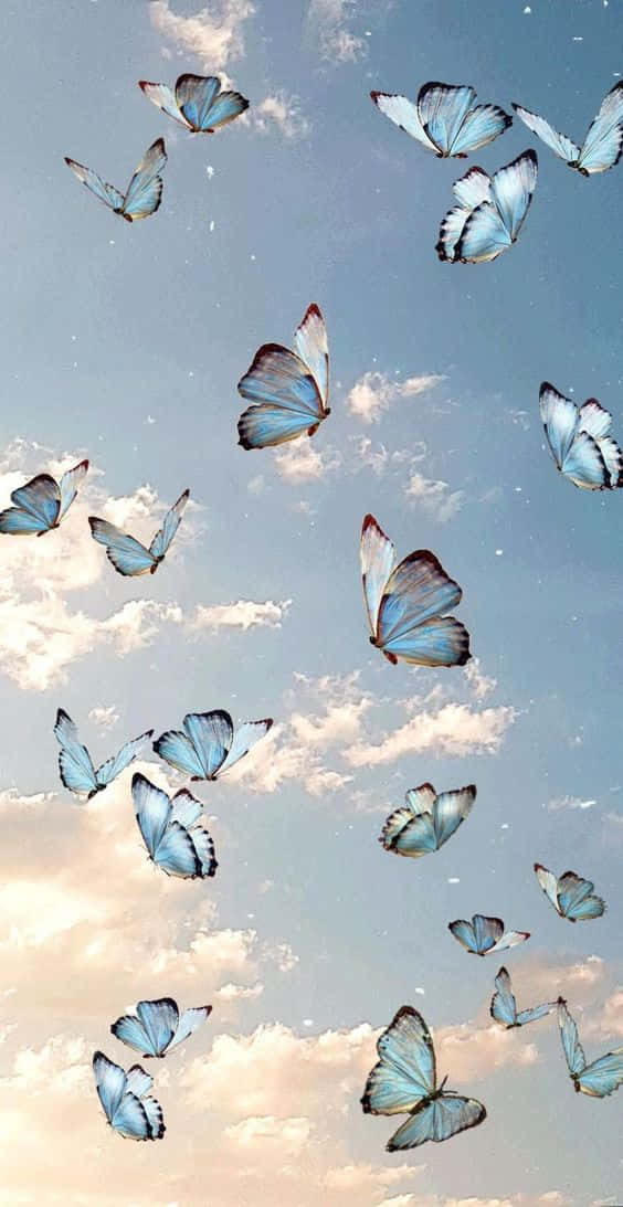 Cool Butterfly 桌布 壁紙 — 一群藍色閃蝶在點綴著縷縷輕雲的柔和粉彩天空中優雅飛翔。