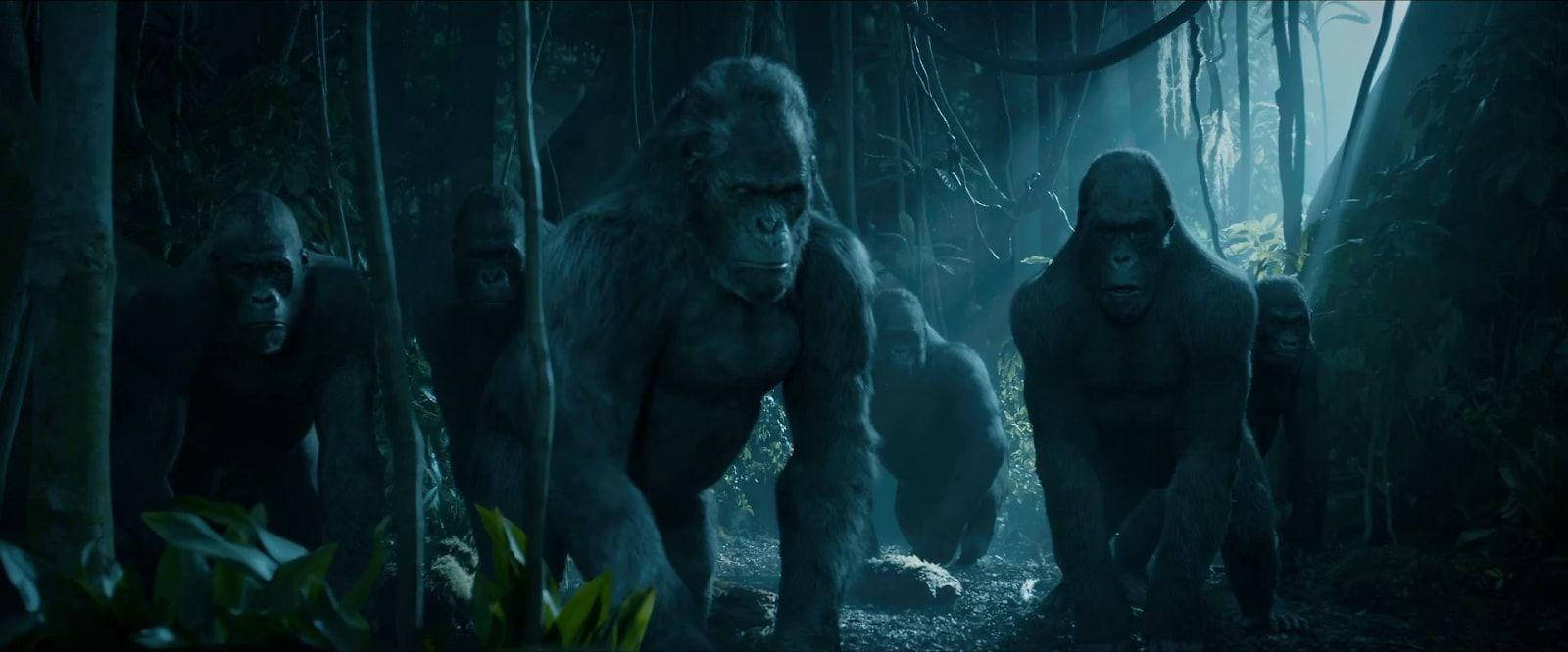 tarzan 桌布 壁紙 — 一群表情強烈的大型猿類在迷霧籠罩的黑暗叢林中移動，周圍是高聳的樹木和斑駁的光線。