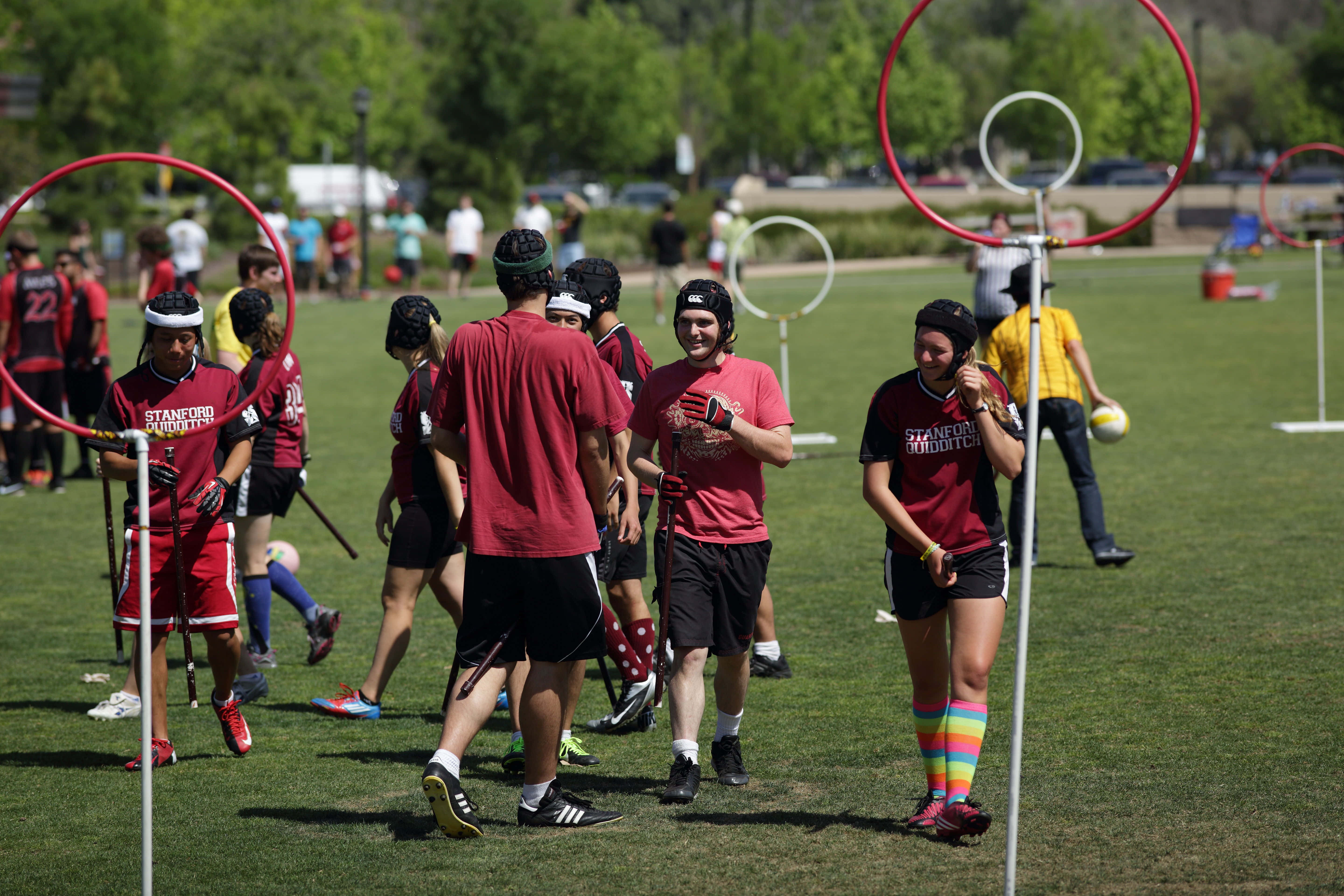 Quidditch 桌布 壁紙 — 一群身穿紅色史丹佛球衣的長曲棍球運動員聚集在陽光明媚的草地上，背景有球門和觀眾。