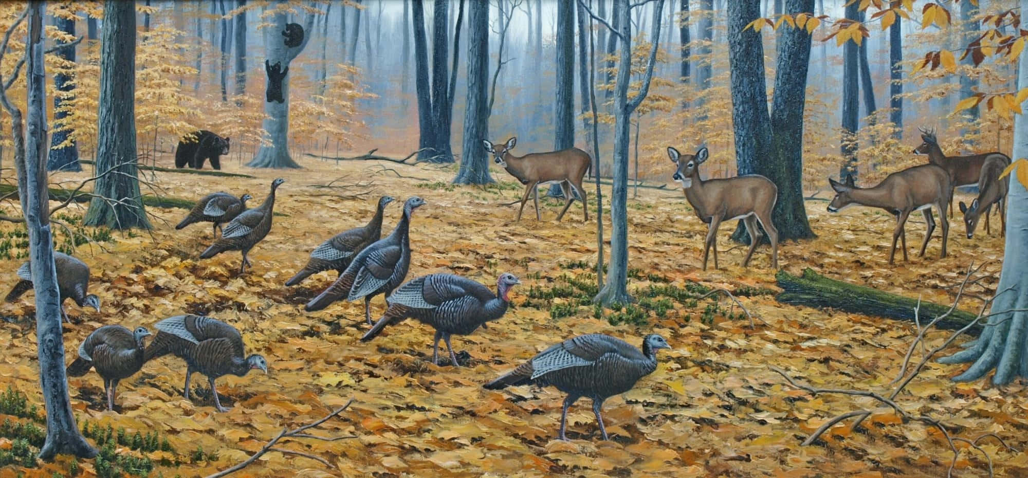 Turkey Face 桌布 壁紙 — 一群野生火雞和鹿在鋪滿金色落葉的迷霧秋林中漫步。