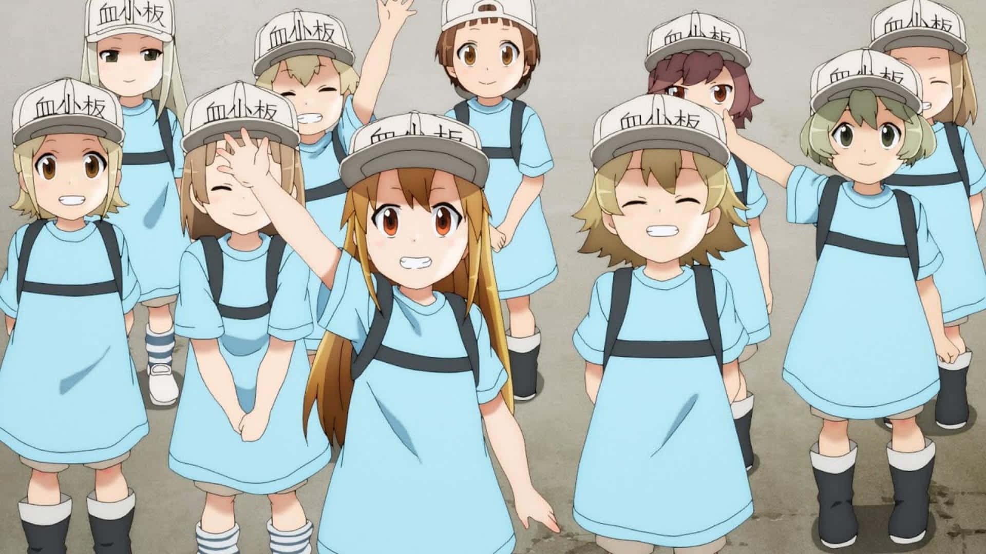 Cells At Work 桌布 壁紙 — 一群開心的動畫女孩穿著相配的淺藍色制服和帶有漢字文字的帽子，一起頑皮地擺姿勢。