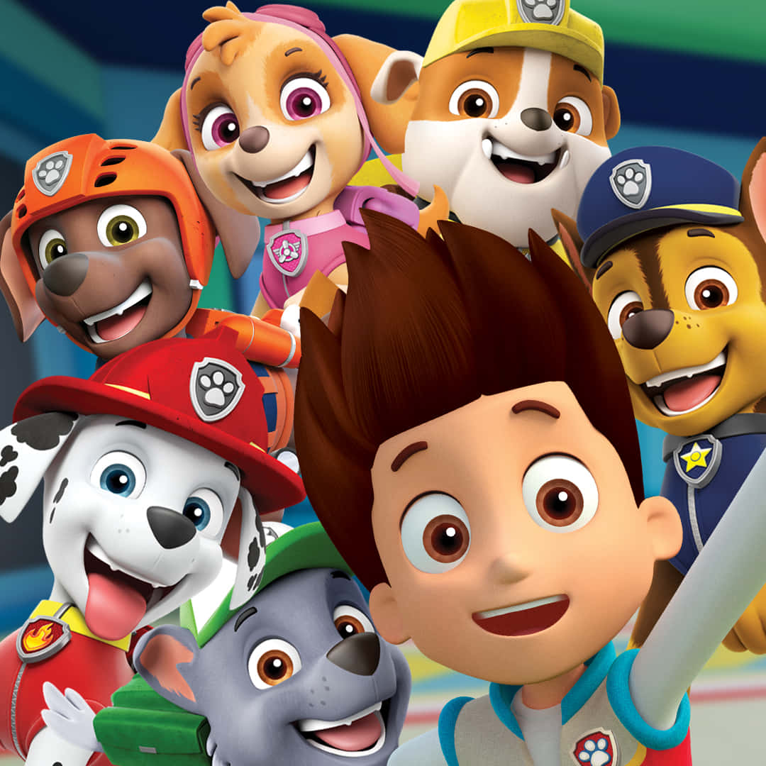 Paw Patrol 小狗團隊和萊德穿著救援裝備一起微笑。 — 汪汪隊立大功 GIF 壁紙