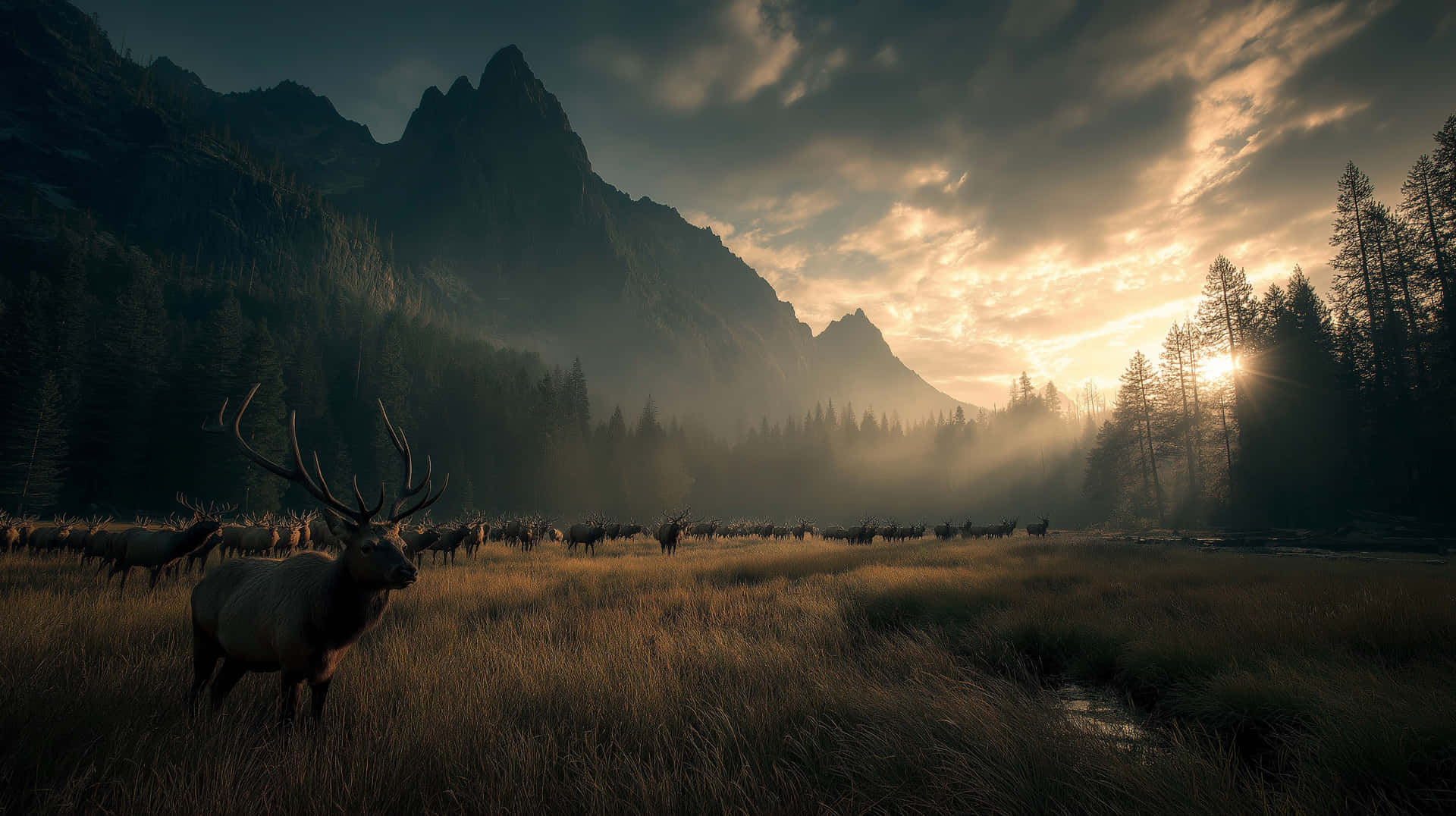 Elks in Fog 壁紙 — 一群雄偉的麋鹿在日出時的金色草地上吃草，背景是霧氣繚繞的山脈和高聳的松樹。