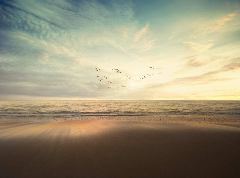 birds 桌布 壁紙 — 一群鳥兒飛過寧靜的日落天空，下方是平靜的海洋與金色沙灘相接。