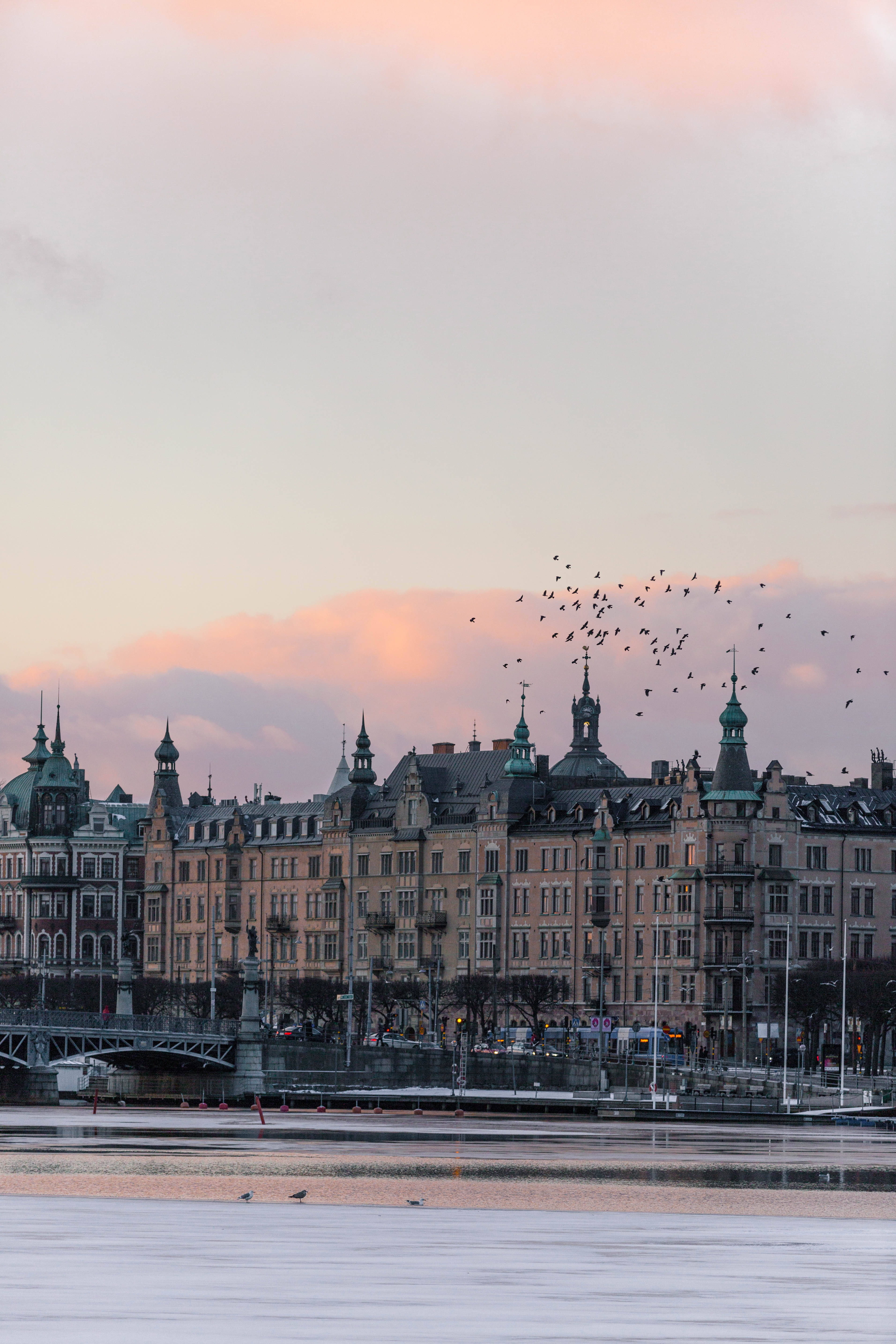 Sweden 桌布 壁紙 — 一群鳥兒飛過歷史悠久的歐洲建築，夕陽映照在平靜的水面上。