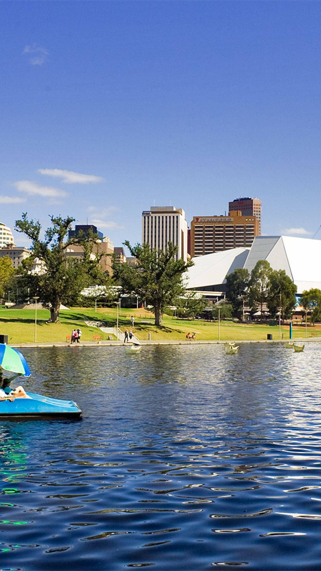 Adelaide 桌布 壁紙 — 一艘亮藍色的腳踏船在平靜的城市湖面上滑行，人們在晴朗的天空下於草叢岸邊放鬆。