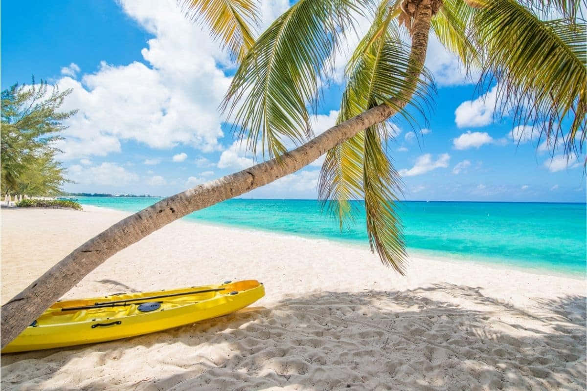 Jamaican Island 桌布 壁紙 — 一艘亮黃色的皮划艇停放在白色沙灘上，旁邊有一棵傾斜的棕櫚樹，俯瞰著碧綠色的海洋，上方是藍天和白雲。
