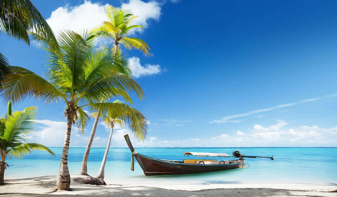 Beach Palm Trees 桌布 壁紙 — 一艘傳統長尾船停泊在 pristine 白色沙灘上，搖曳的棕櫚樹和 vibrant 藍天之下。