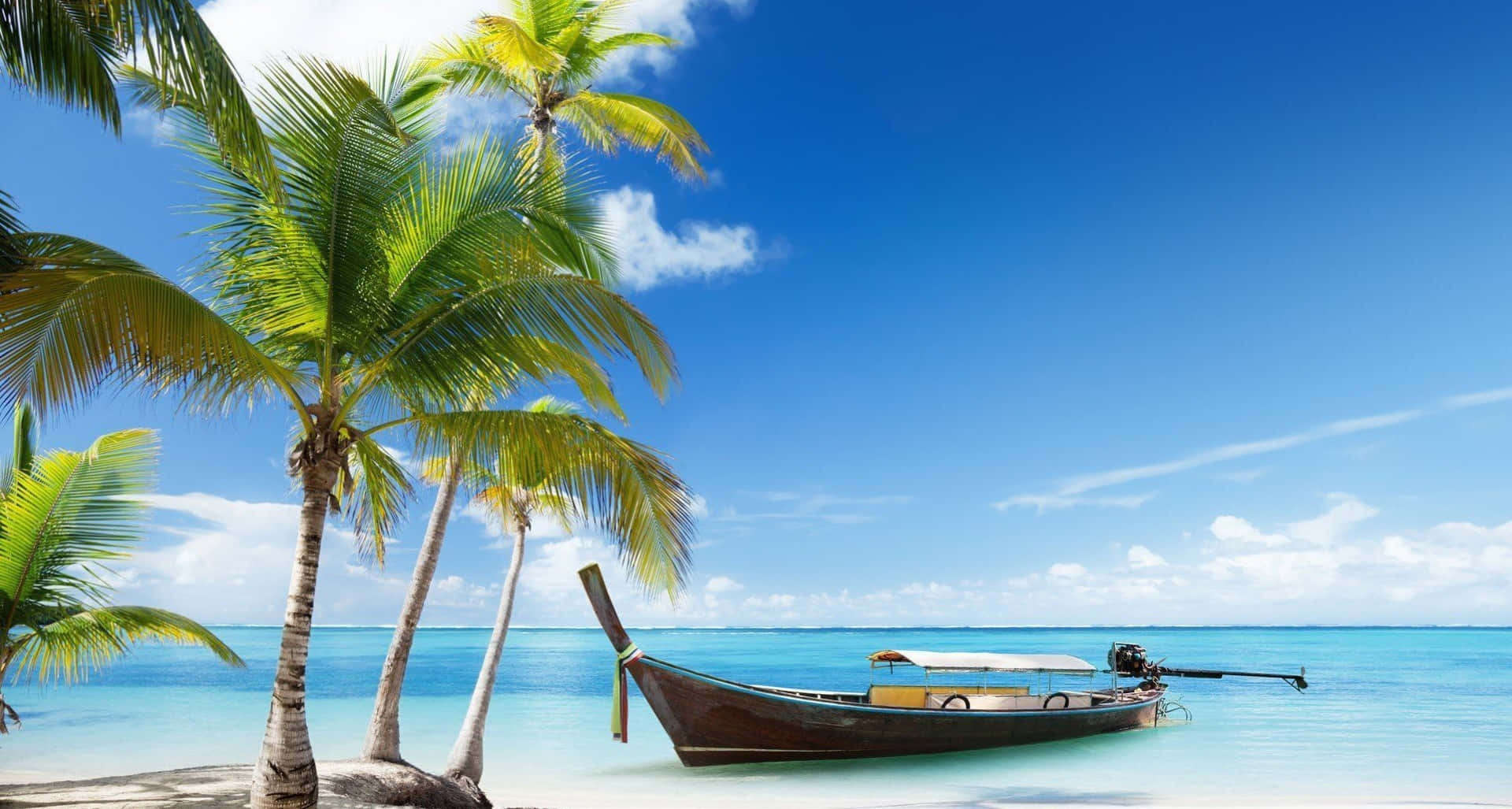 Cute Beach 桌布 壁紙 — 一艘傳統長尾船停泊在碧綠色的海水中，旁邊是搖曳的棕櫚樹，上方是明亮的藍天。