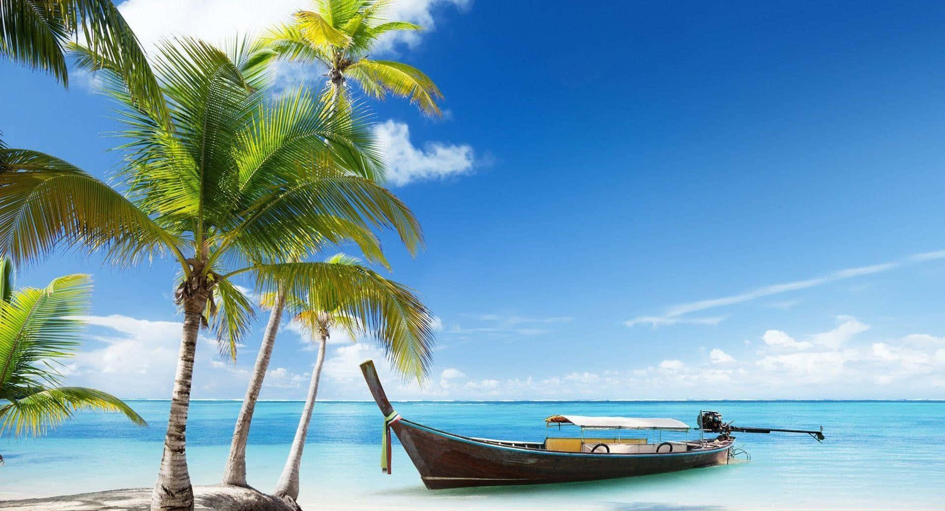Yacht 桌布 壁紙 — 一艘傳統長尾船在清澈碧綠的海水中停泊，旁邊是搖曳的棕櫚樹，頭頂是明亮的藍天。