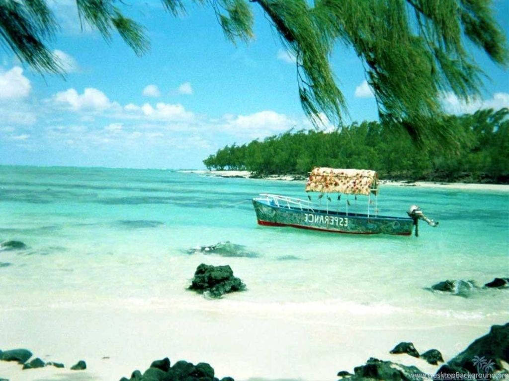 Mauritius 桌布 壁紙 — 一艘名為 'ESPERANCE' 的小船停泊在淺藍綠色水域，靠近被茂密綠色棕櫚葉環繞的白色沙灘。