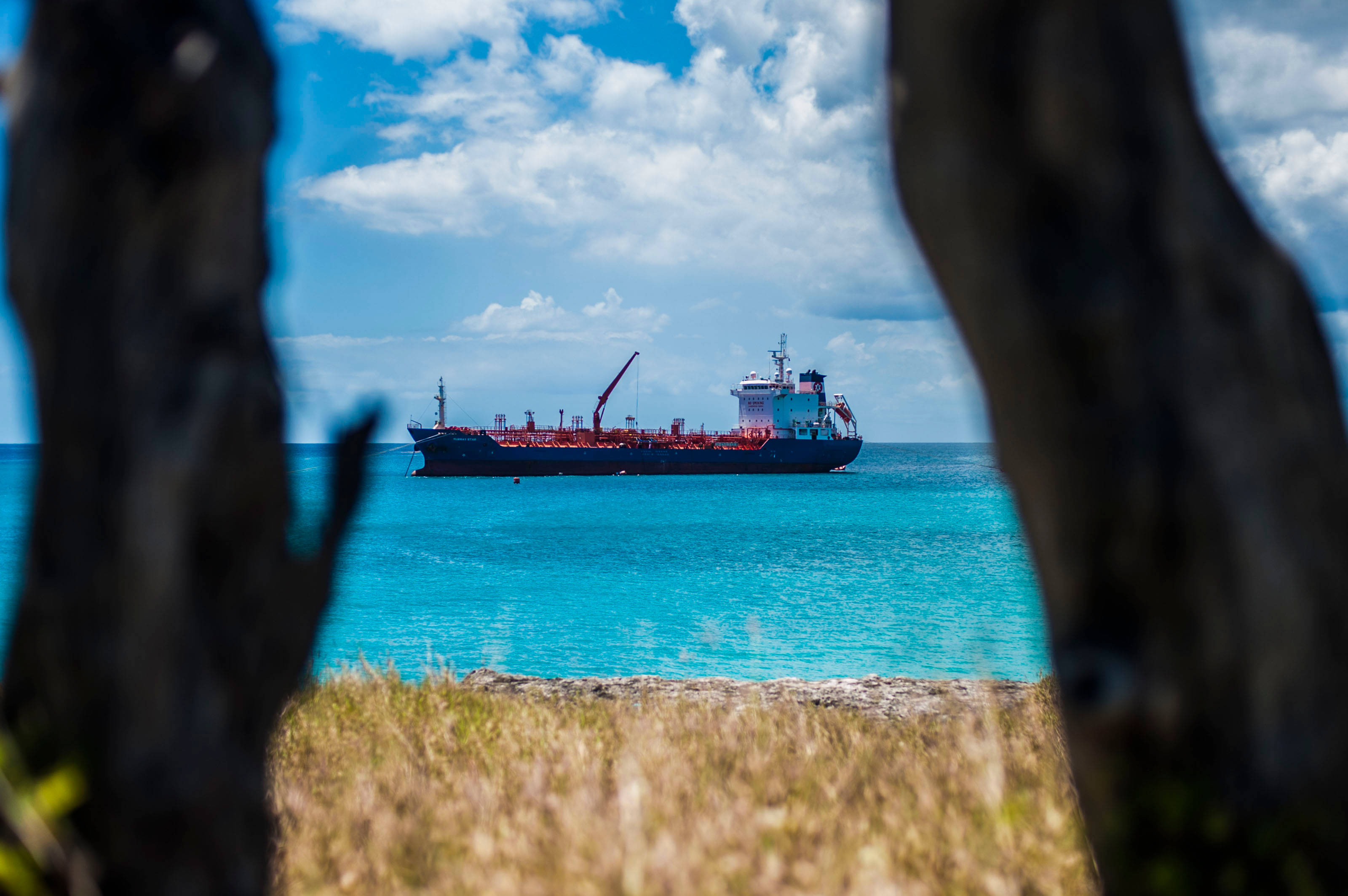 Barbados 桌布 壁紙 — 一艘大型貨船在碧綠色的海面上航行，四周環繞著深色的樹幹和乾草，上方是晴朗的藍天和蓬鬆的白雲。