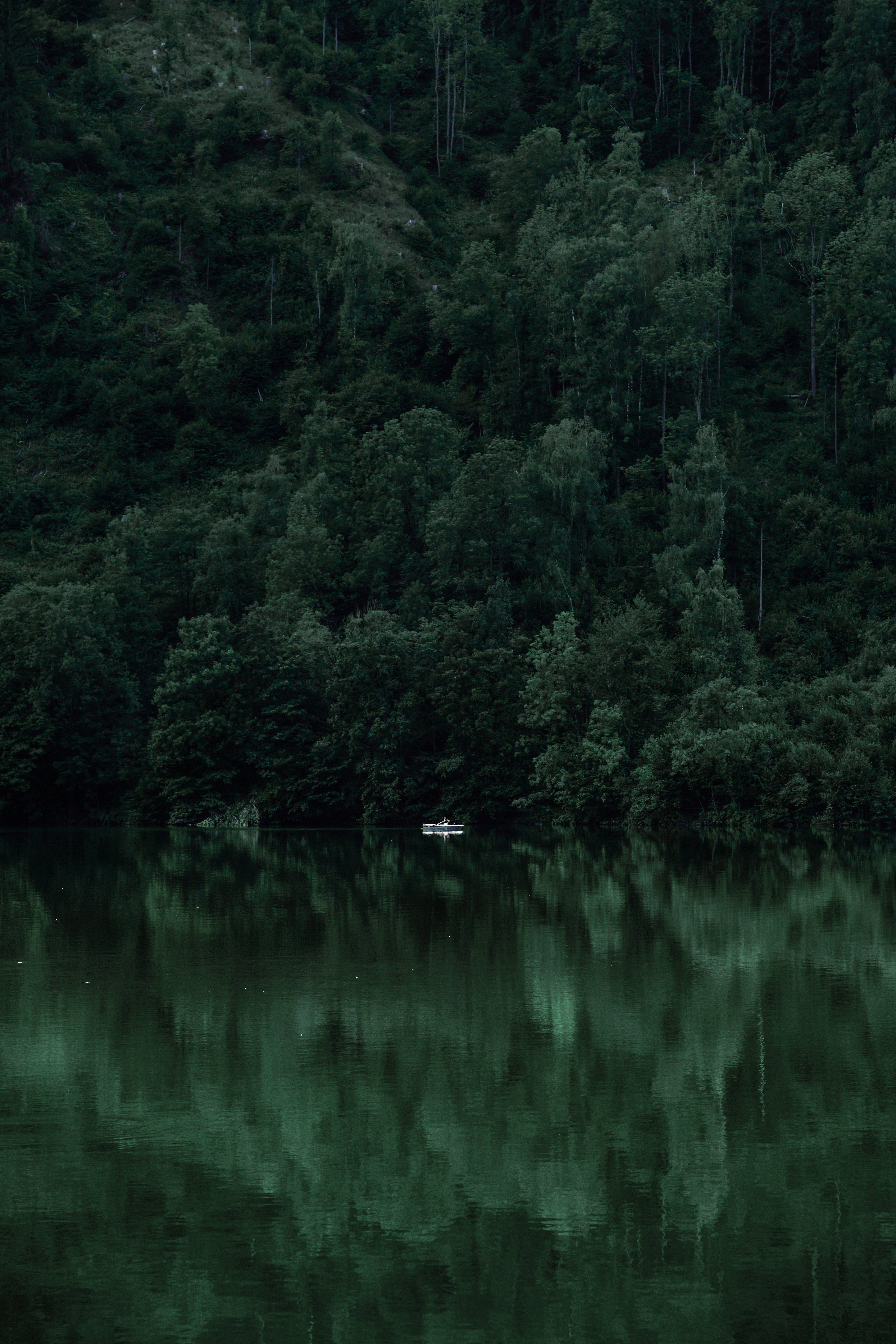 HD Forest 桌布 壁紙 — 一艘孤獨的划艇漂浮在玻璃般的翡翠綠湖面上，倒映著茂密深綠色的森林山坡。
