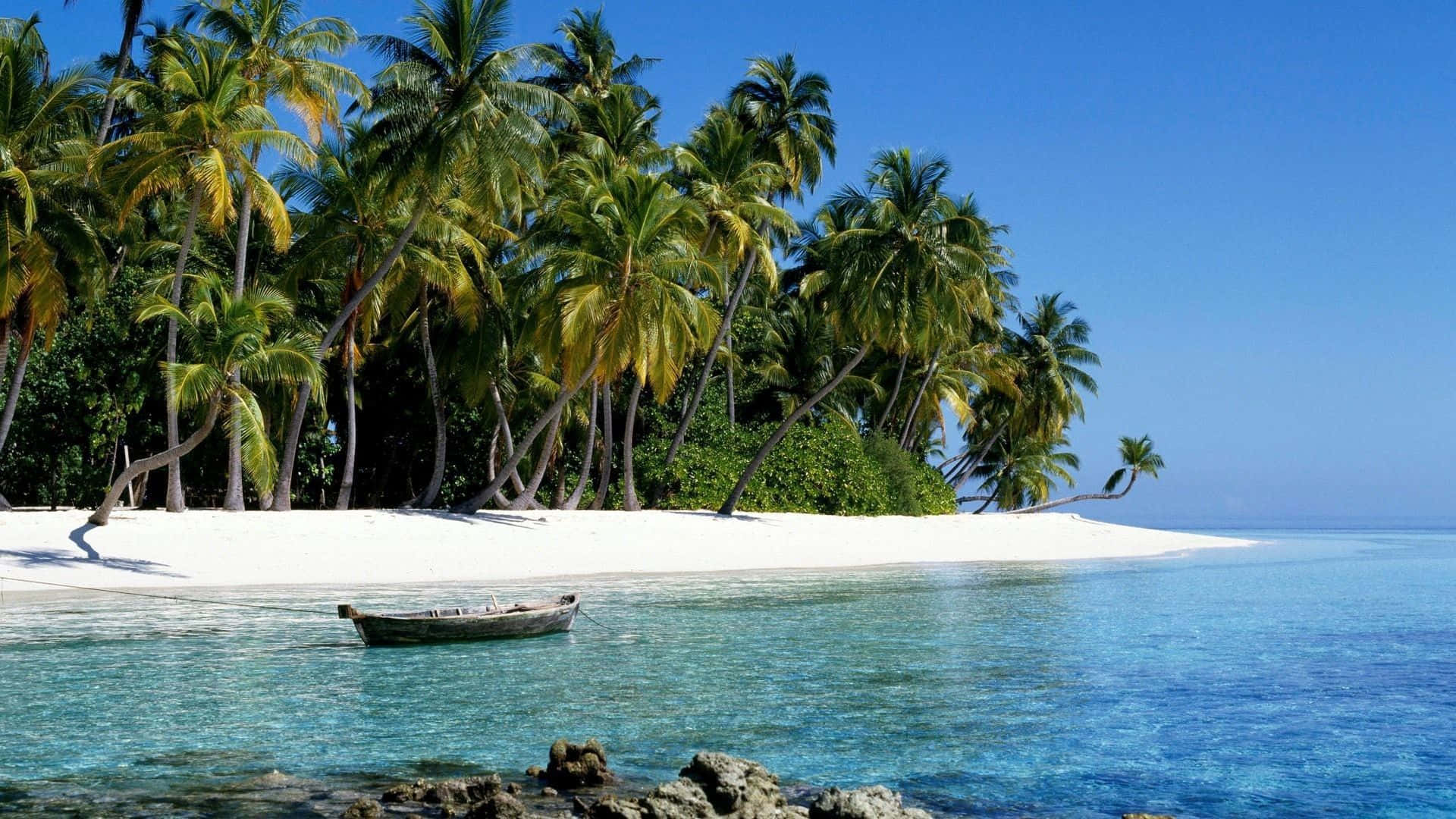 Tropical Aesthetic 桌布 壁紙 — 一艘孤獨的木船漂浮在清澈碧綠的海水上，旁邊是白色沙灘，沙灘上種滿搖曳的棕櫚樹，上方是明亮的藍天。