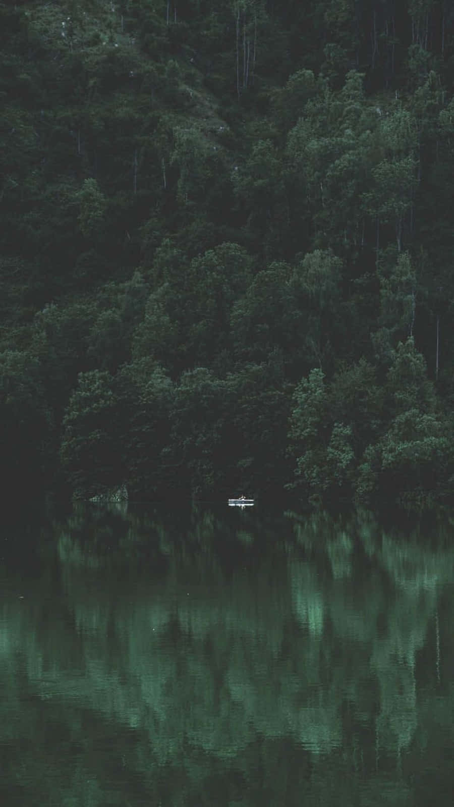 Relaxing 桌布 壁紙 — 一艘孤獨的獨木舟在玻璃般的翠綠湖面上滑行，湖面映照著陰鬱暮色下茂密的黑暗森林。