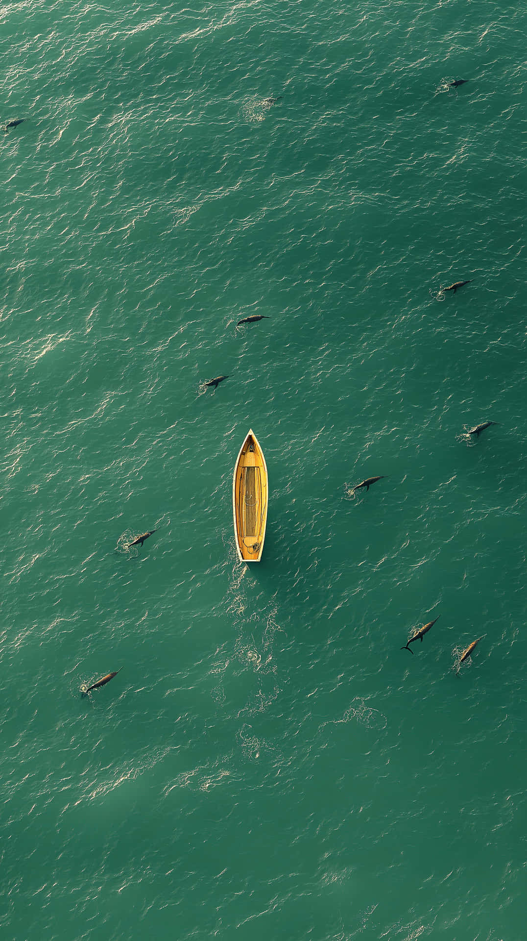 Empty Yellow Gondola Boat Adrift in Serene Open Water with Fish 壁紙 — 一艘孤獨的黃色小船漂浮在碧綠色的水面上，周圍有海豚在游泳的鳥瞰圖。
