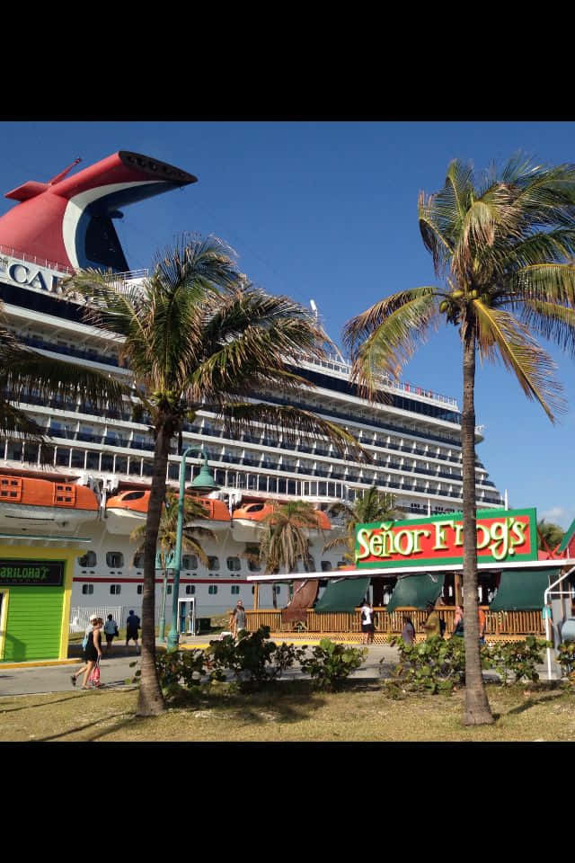 Carnival Vista 桌布 壁紙 — 一艘巨大的嘉年華郵輪在棕櫚樹和色彩繽紛的 Señor Frog's 餐廳背後，在清澈的藍天下聳立。