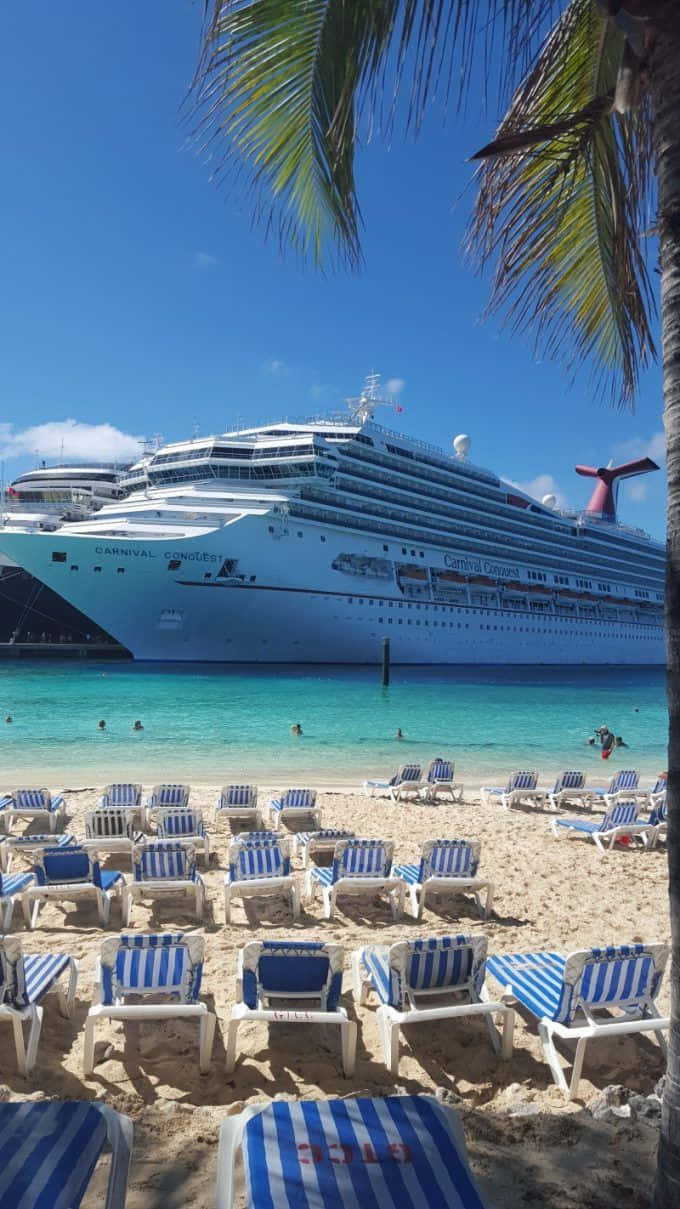 Cruise 桌布 壁紙 — 一艘巨大的白色嘉年華郵輪停泊在碧綠色的海水中，旁邊是沙灘，沙灘上棕櫚樹下排列著藍白條紋的躺椅。