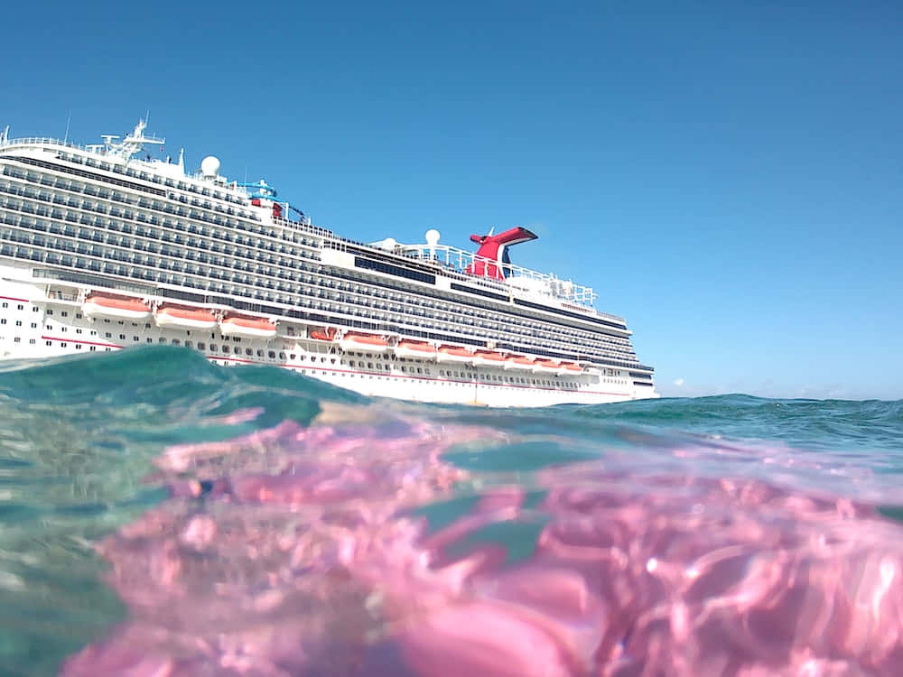 Carnival Conquest 桌布 壁紙 — 一艘巨大的郵輪在晴朗的藍天下航行，前景是充滿活力的粉紅色水下景觀。