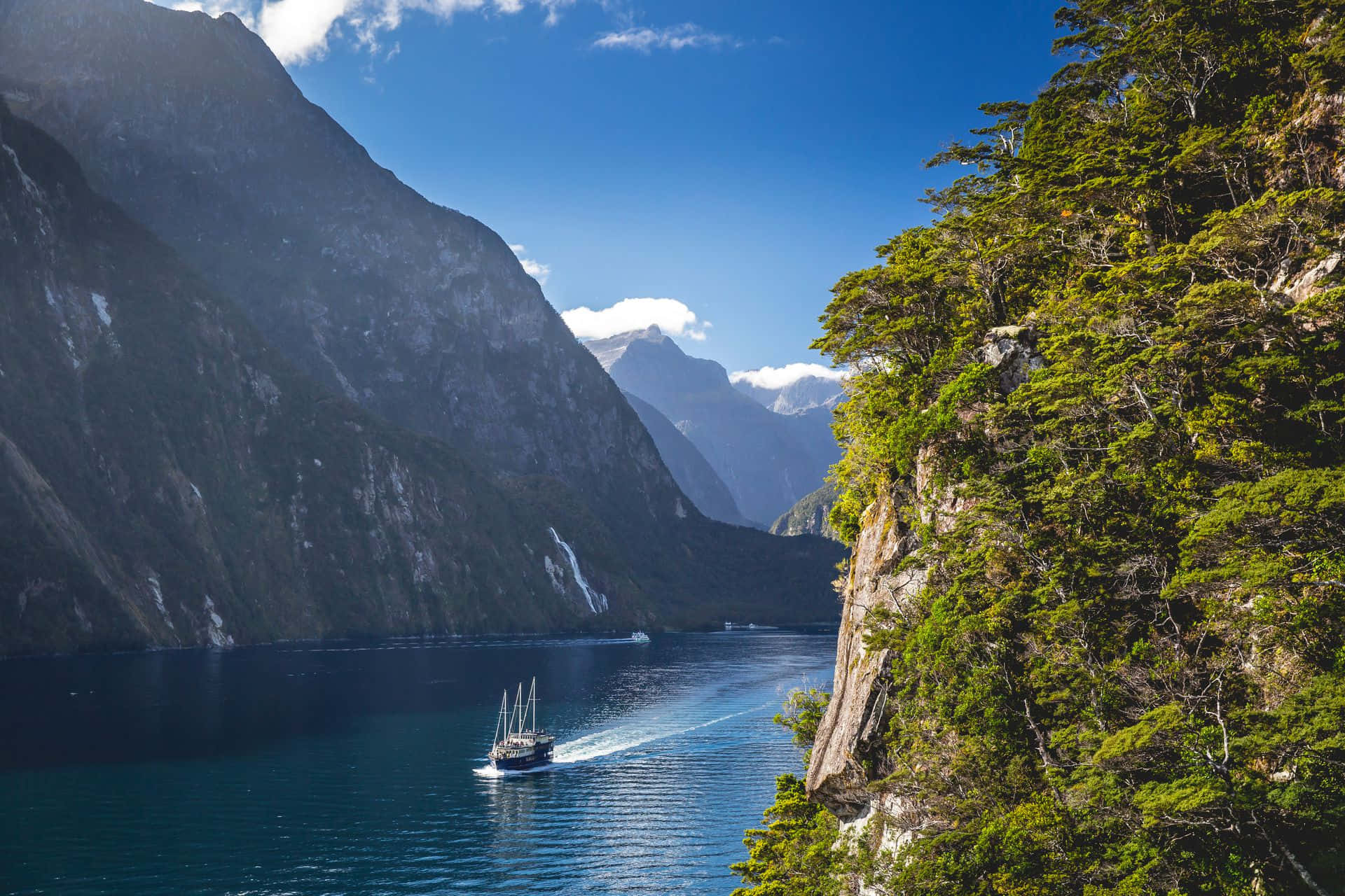 New Zealand 桌布 壁紙 — 一艘帆船在深藍色的海水中滑行，兩旁是高聳的森林懸崖，上方是明亮的藍天。