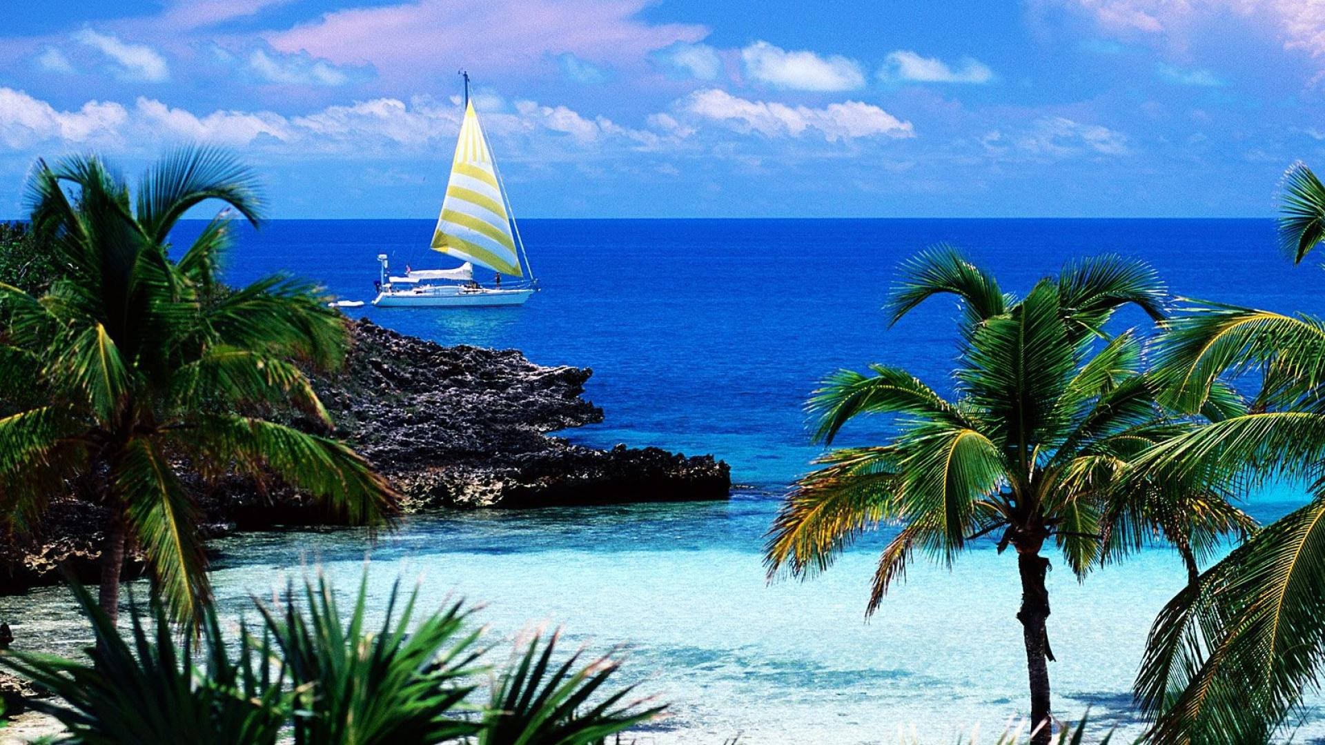 Bahamas 桌布 壁紙 — 一艘帶有黃白條紋帆的帆船在湛藍的天空下，穿梭於鬱鬱蔥蔥的棕櫚樹和岩石海岸之間的碧綠海水上。