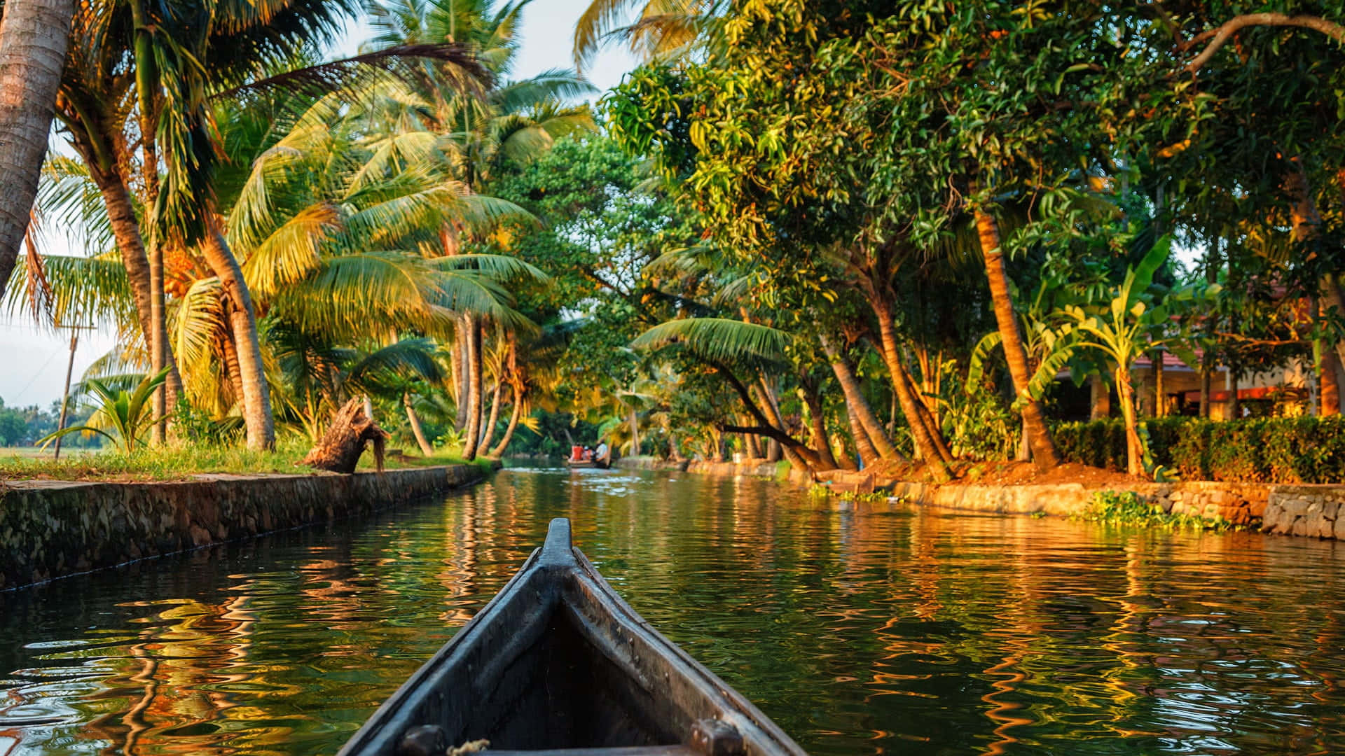 Kerala 桌布 壁紙 — 一艘木船在金色陽光下，沿著一條兩旁種滿搖曳棕櫚樹和茂密綠植的寧靜熱帶運河滑行。