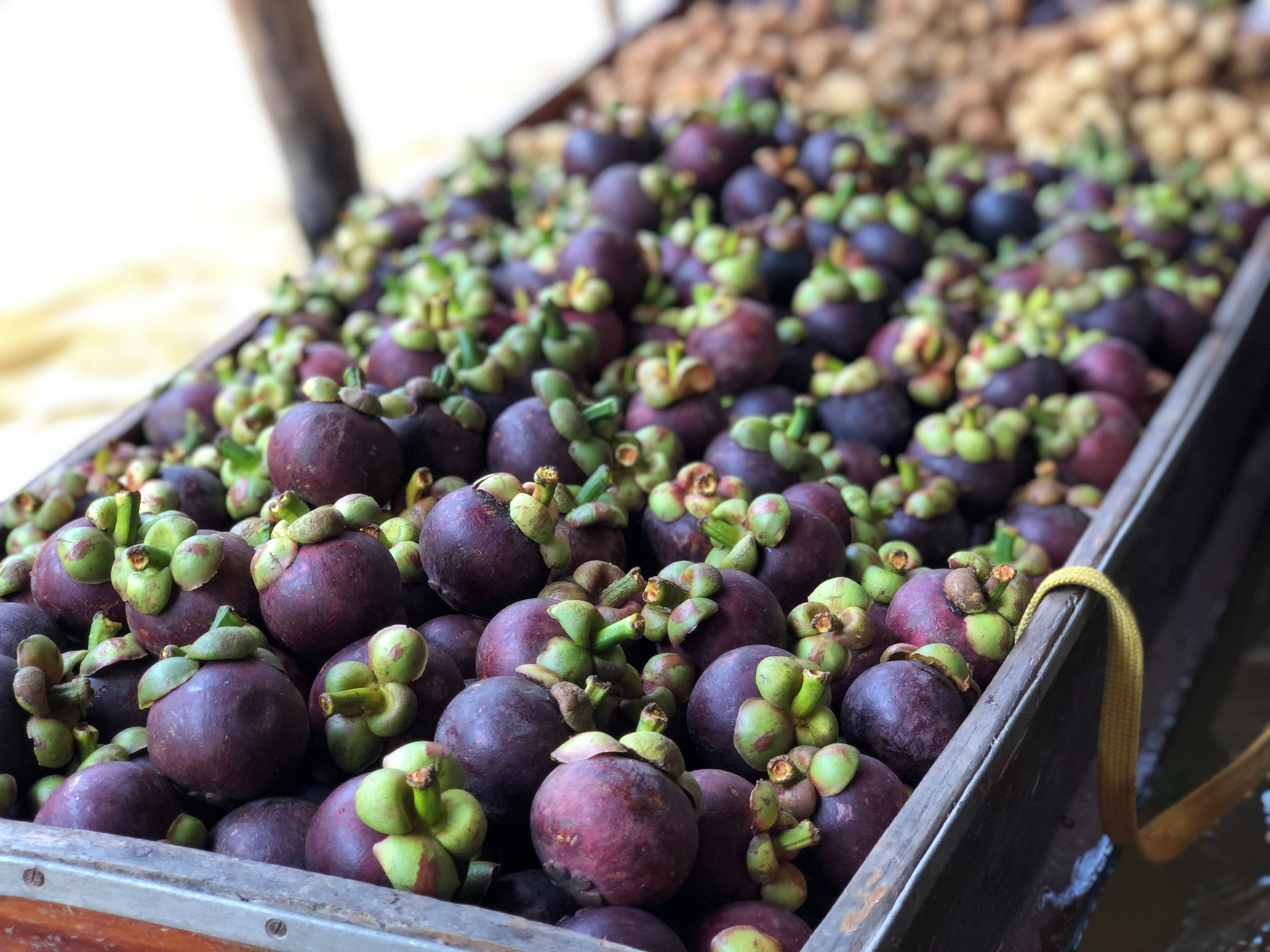 Fruit 桌布 壁紙 — 一艘木船裝滿成熟的紫色山竹和綠色莖漂浮在水面上。